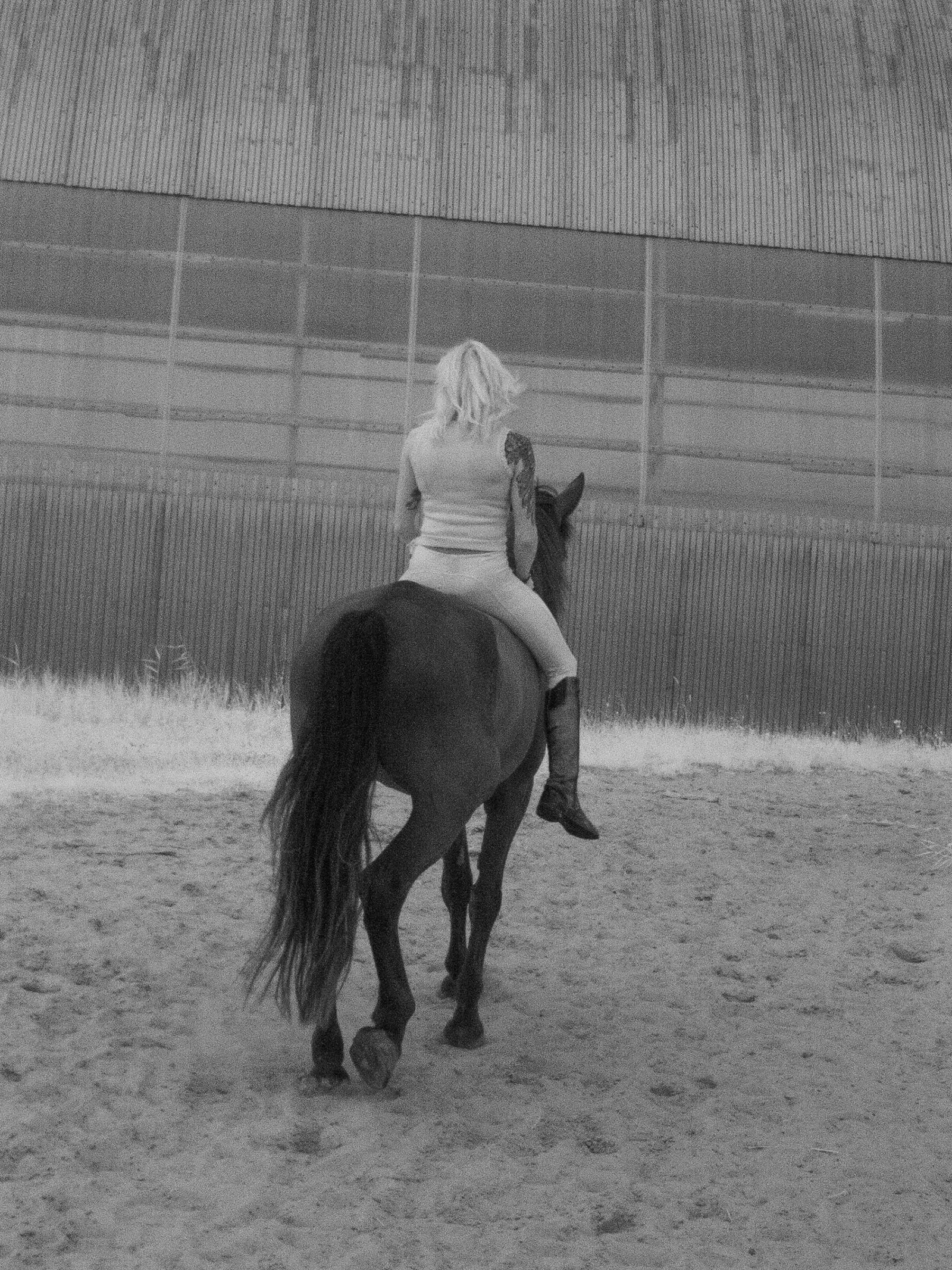 article image; primary-color: #757575;