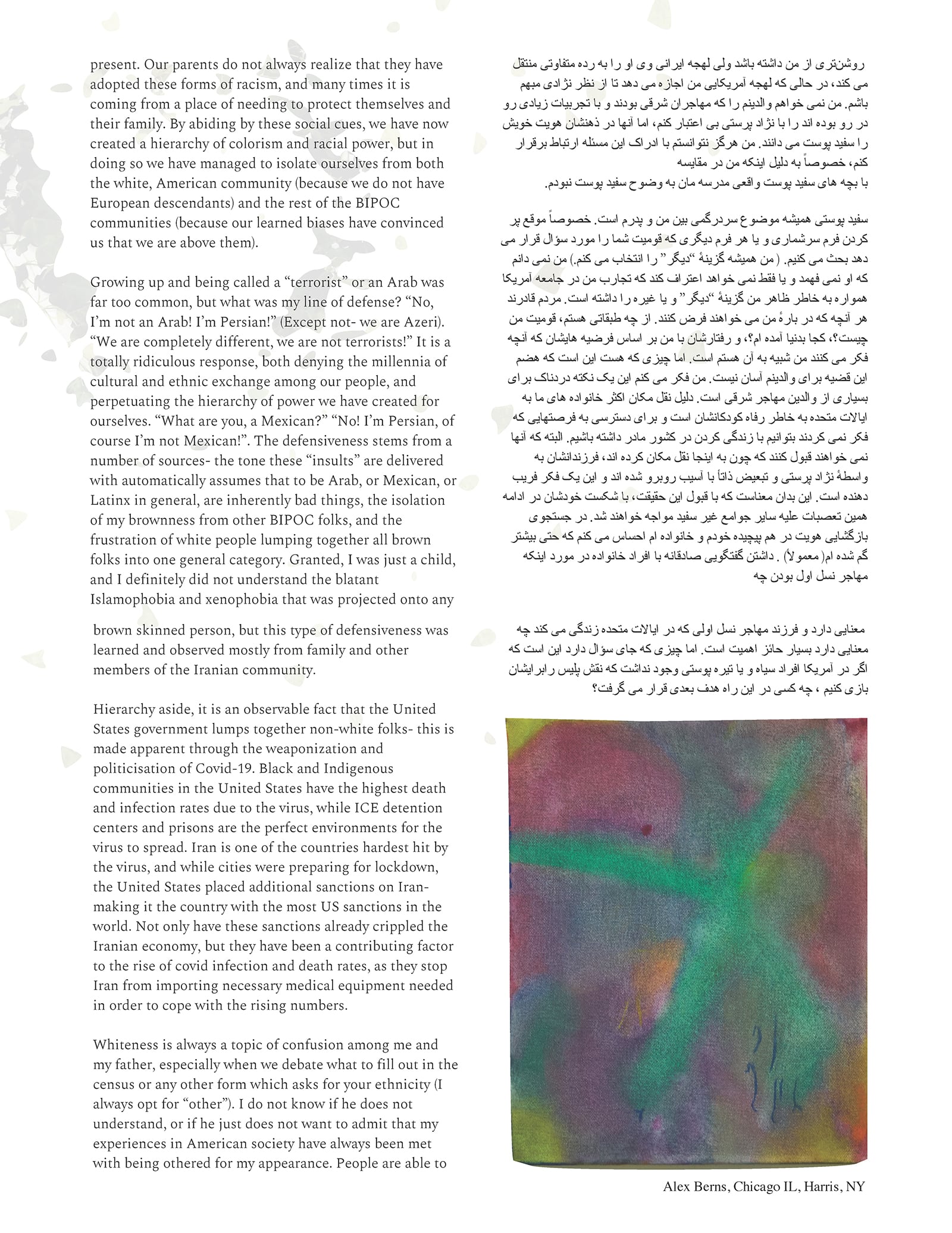 article image; primary-color: #DEDEDE;