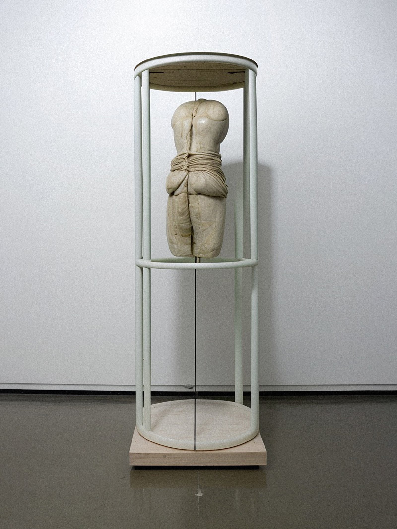 article image; primary-color: #A2A39E;