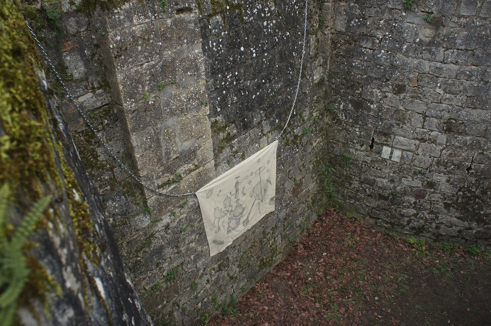 article image; primary-color: #514E45;