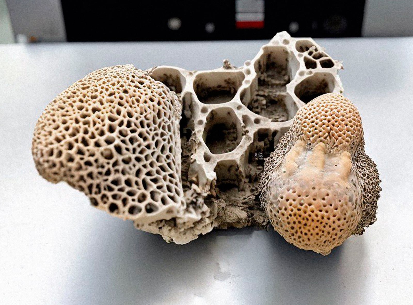 article image; primary-color: #9E958E;