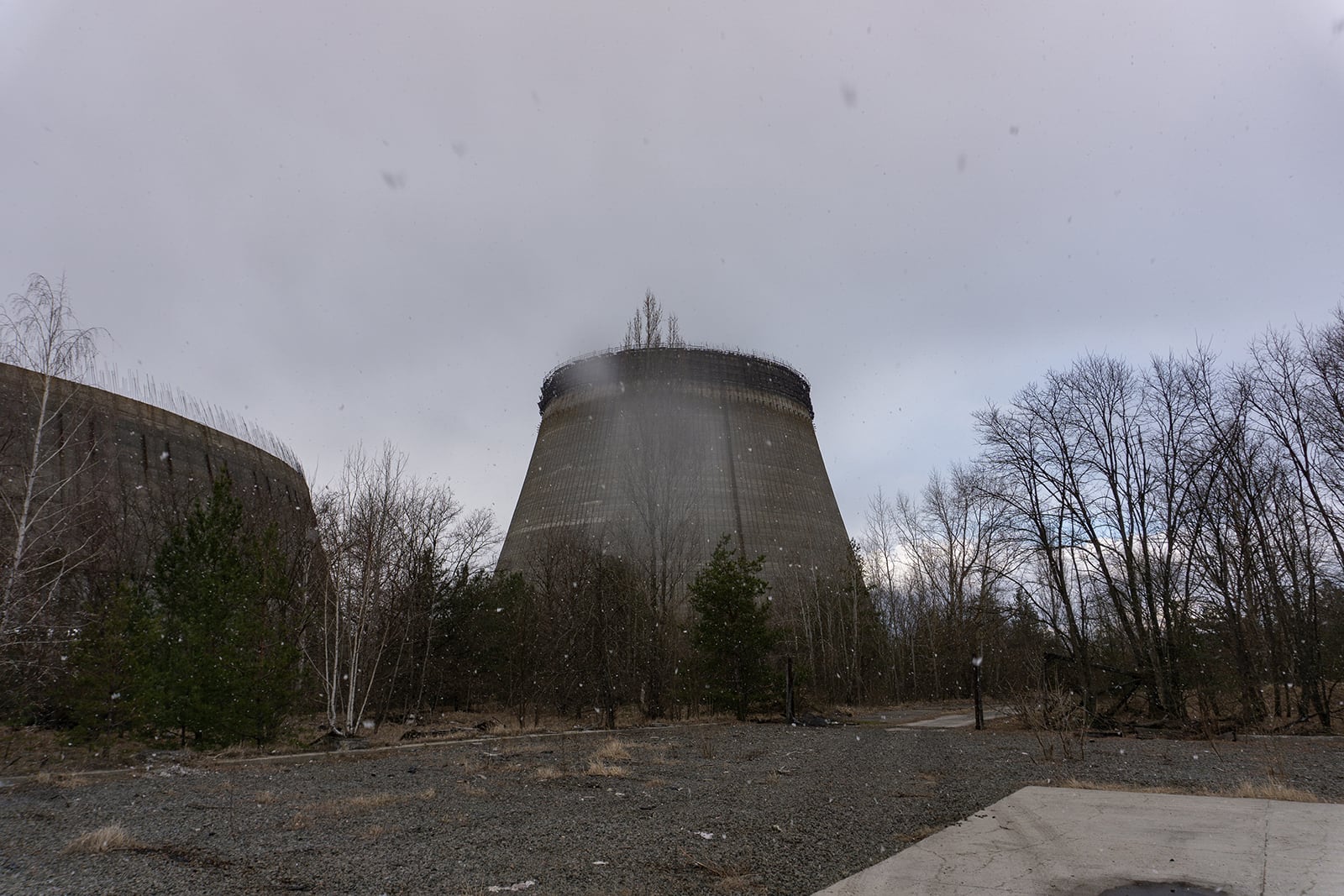 article image; primary-color: #7A797E;