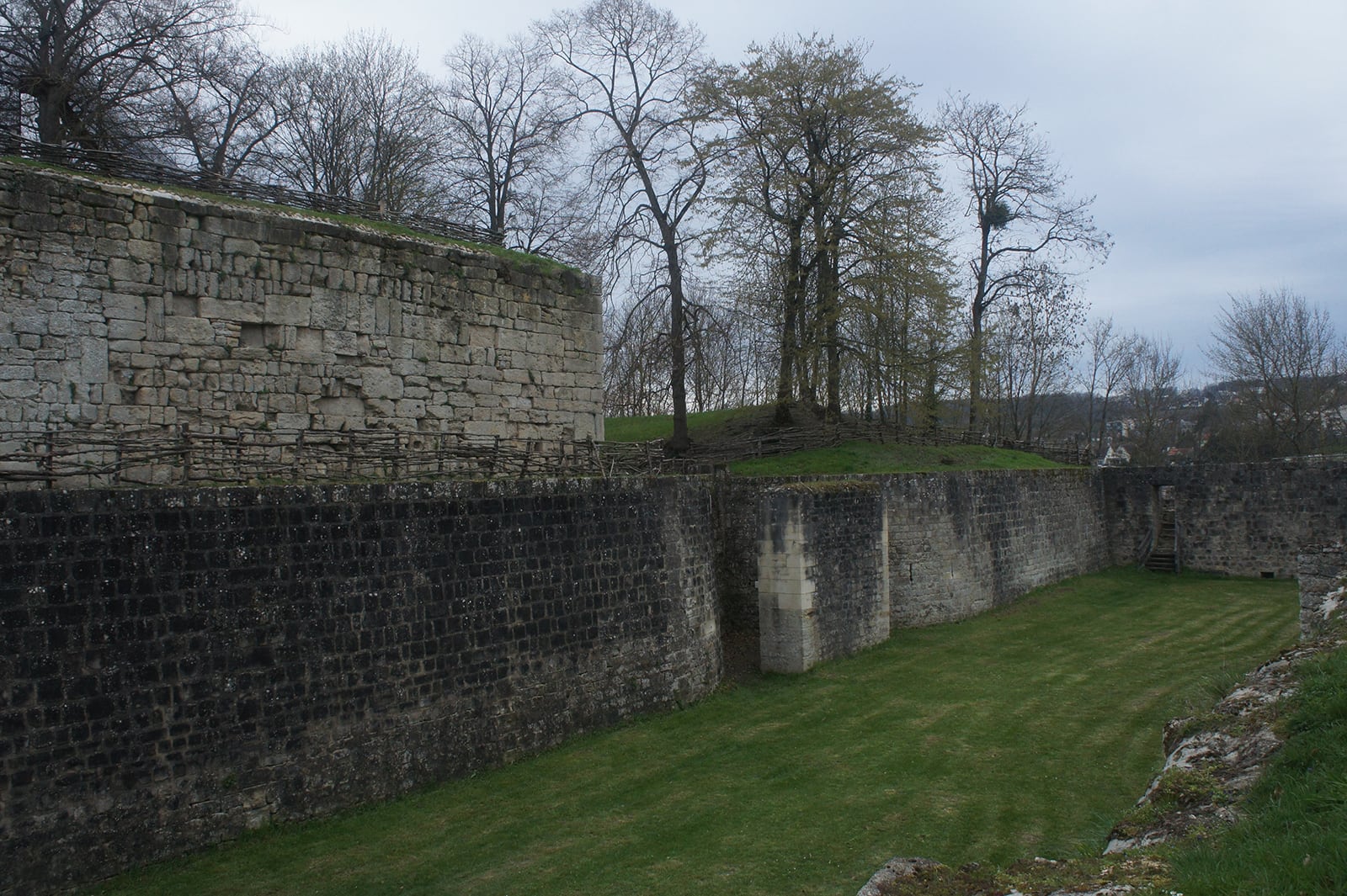 article image; primary-color: #555F57;