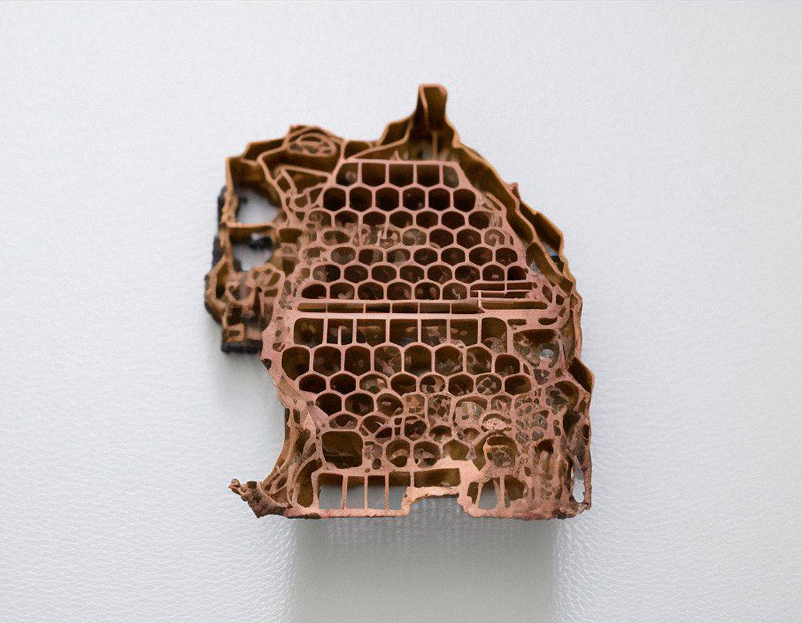 article image; primary-color: #C1B8B3;