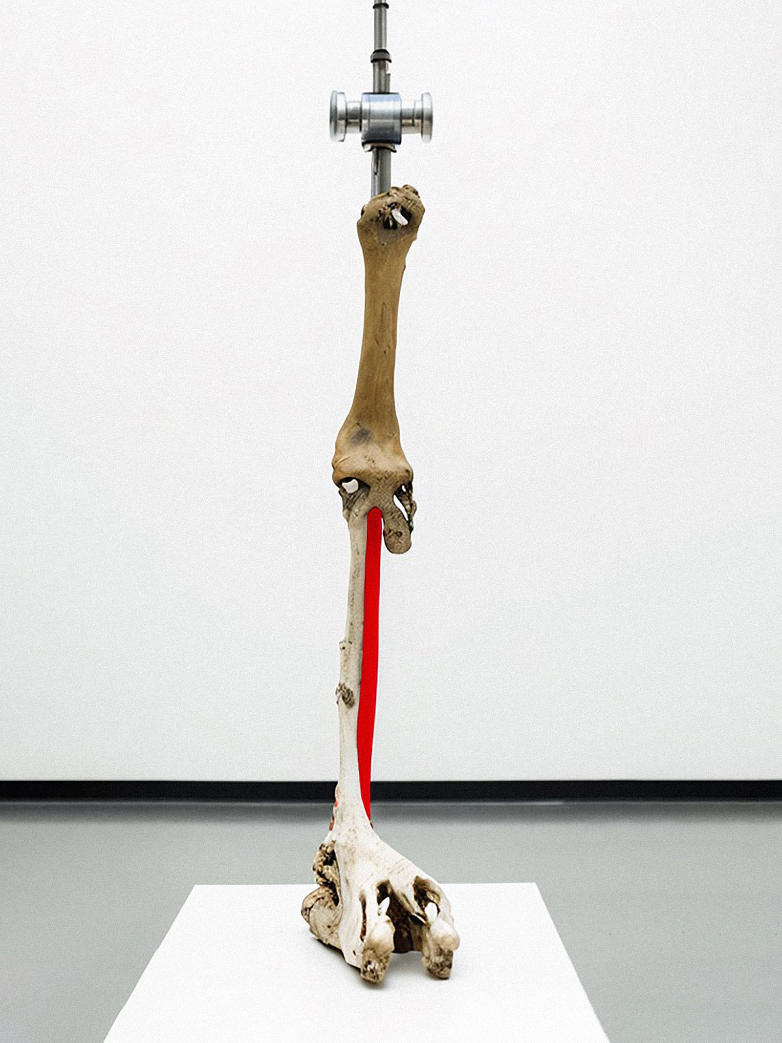 article image; primary-color: #DDDED9;