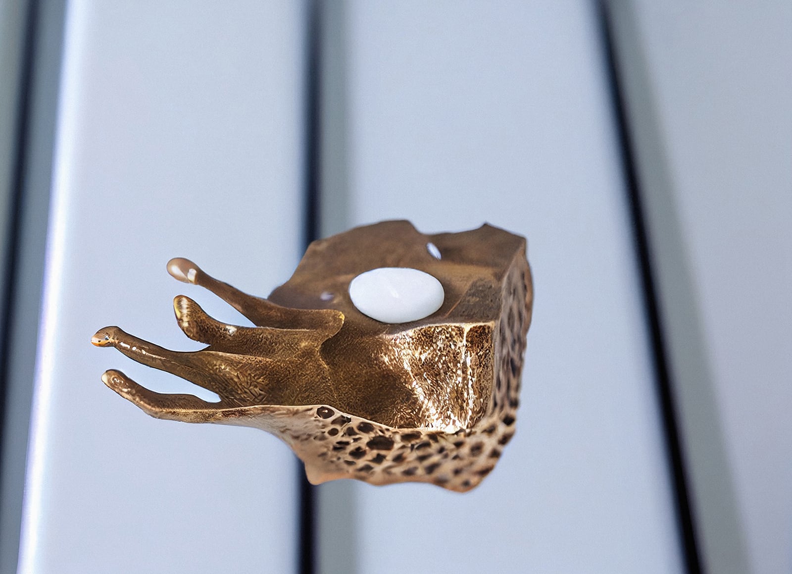 article image; primary-color: #A1A7B3;