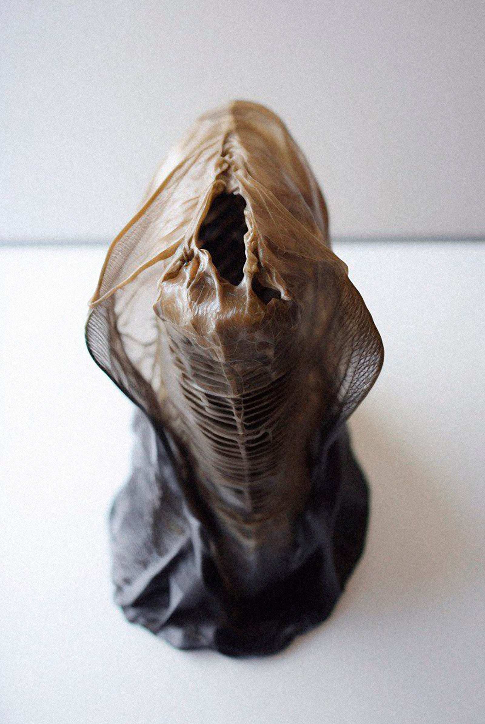 article image; primary-color: #AAA6A7;