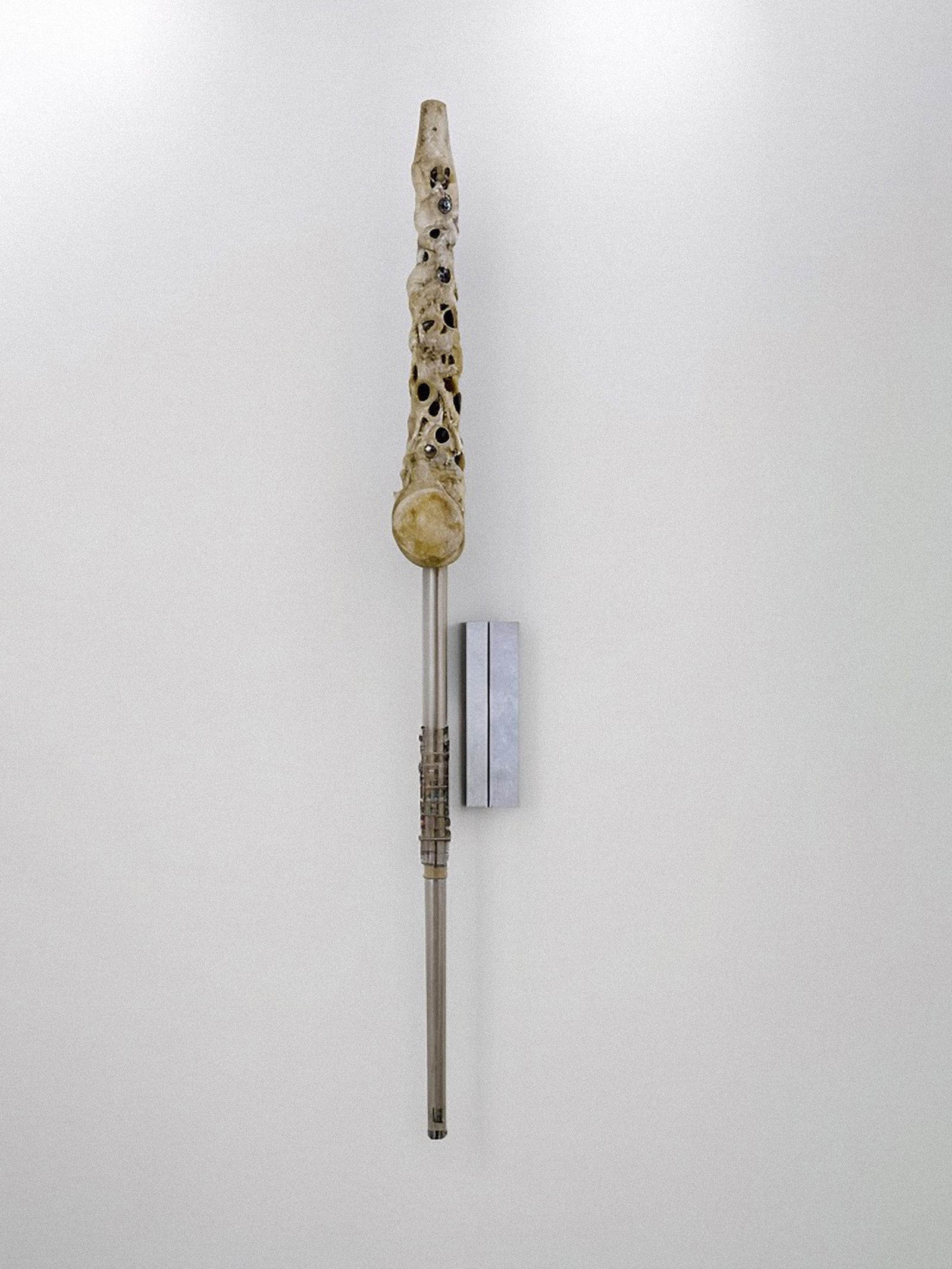 article image; primary-color: #CECECE;