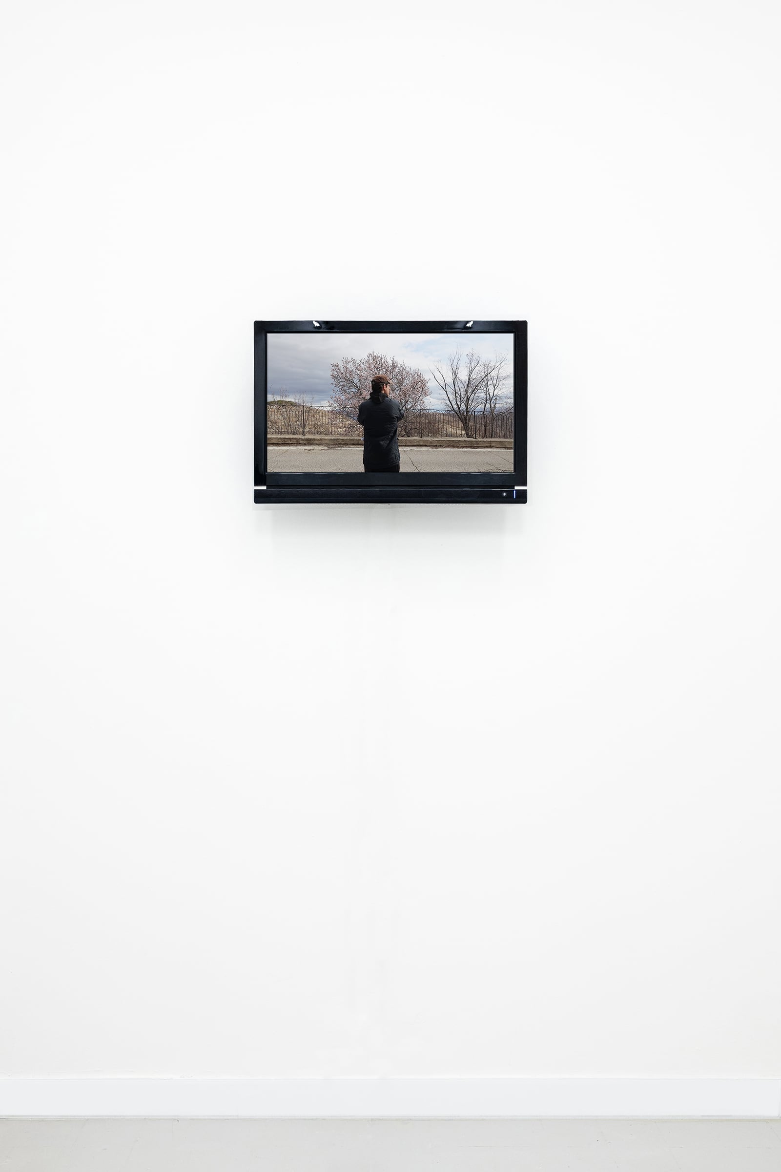 article image; primary-color: #EEEEEE;