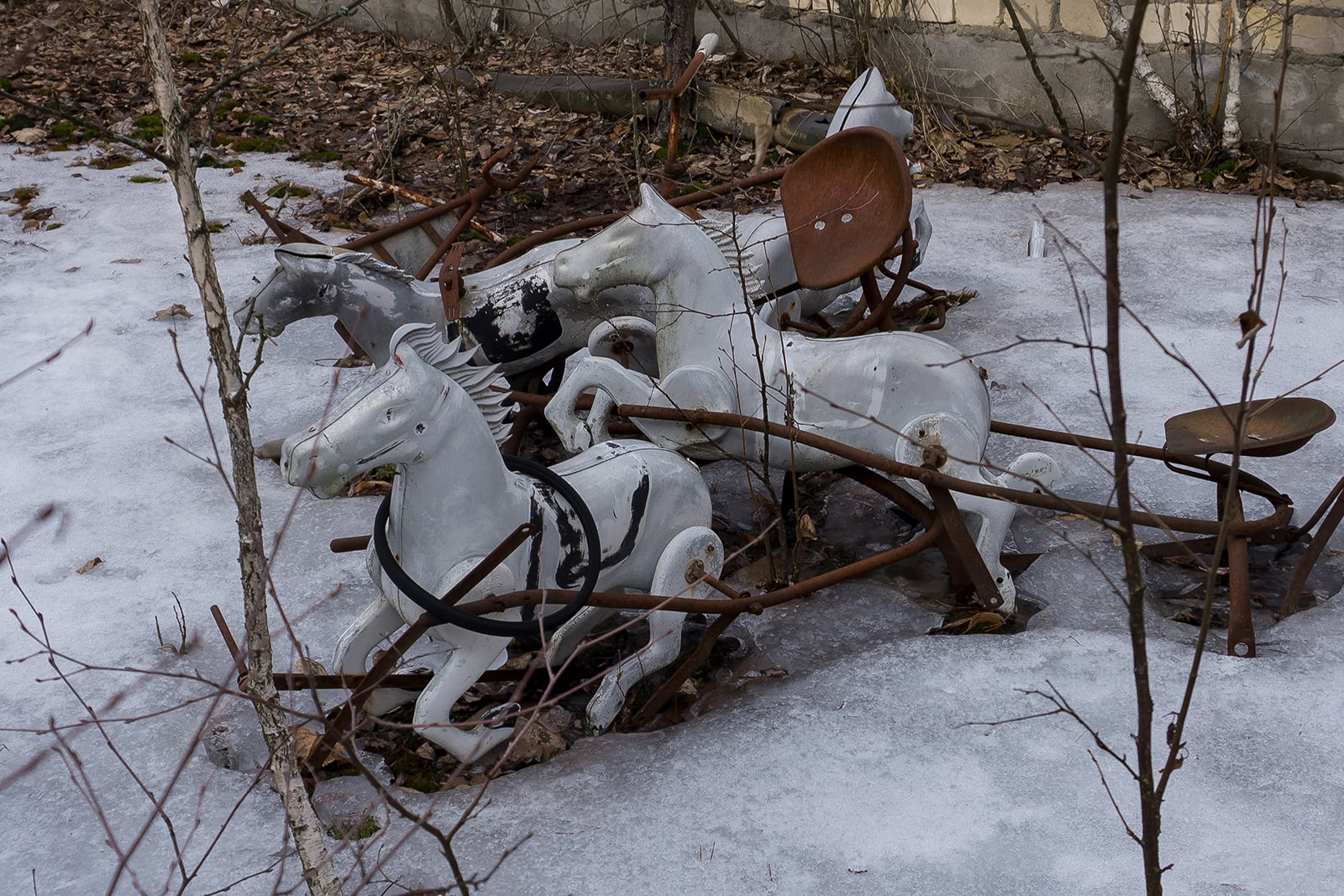 article image; primary-color: #6F6A70;