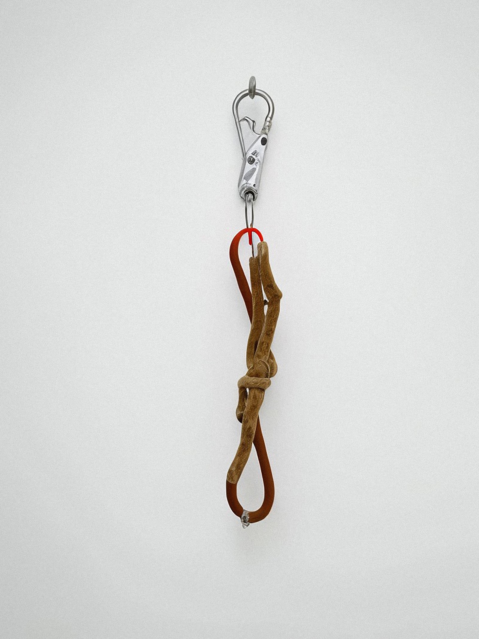 article image; primary-color: #D9DAD5;