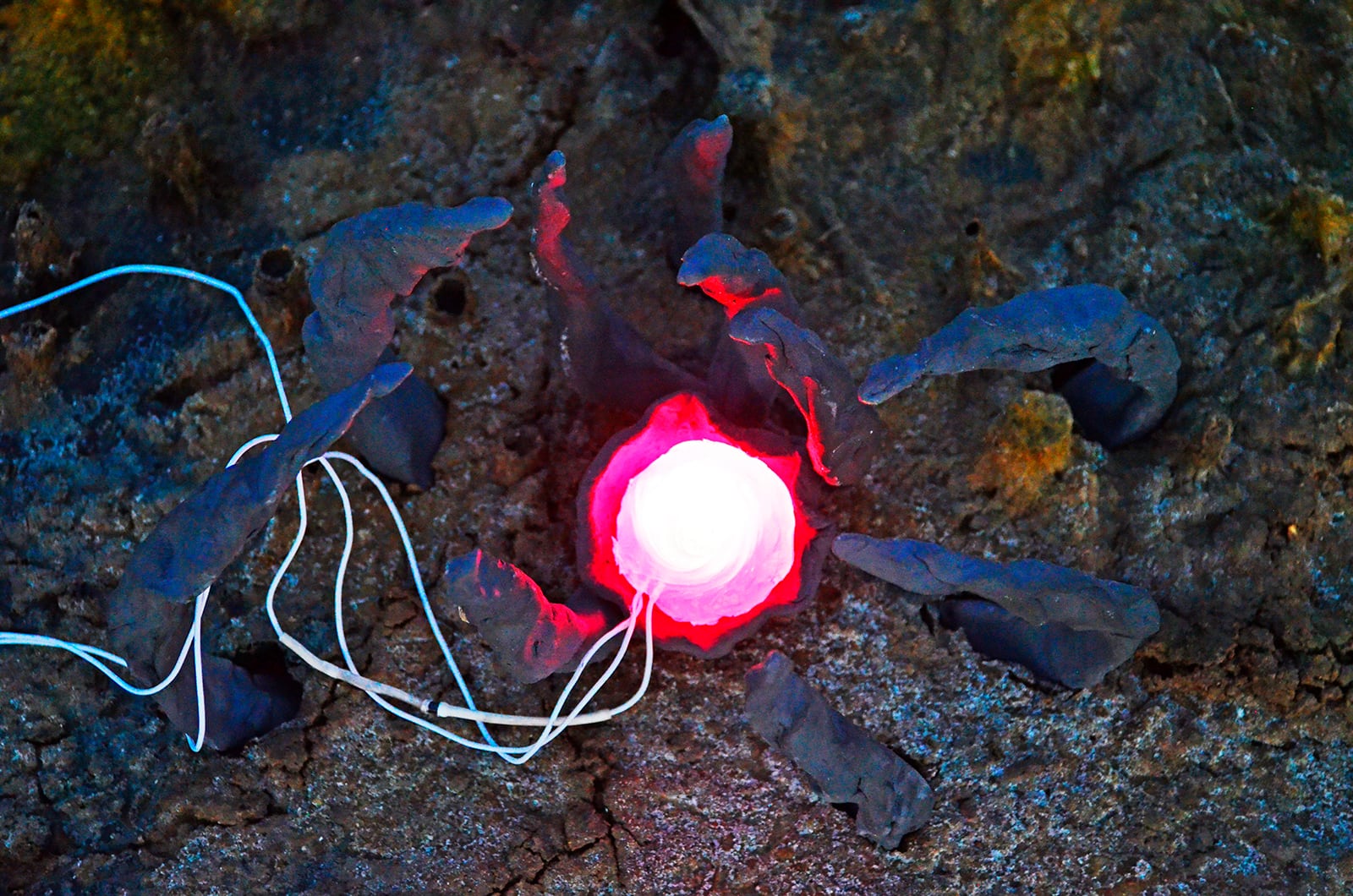 article image; primary-color: #3A343E;