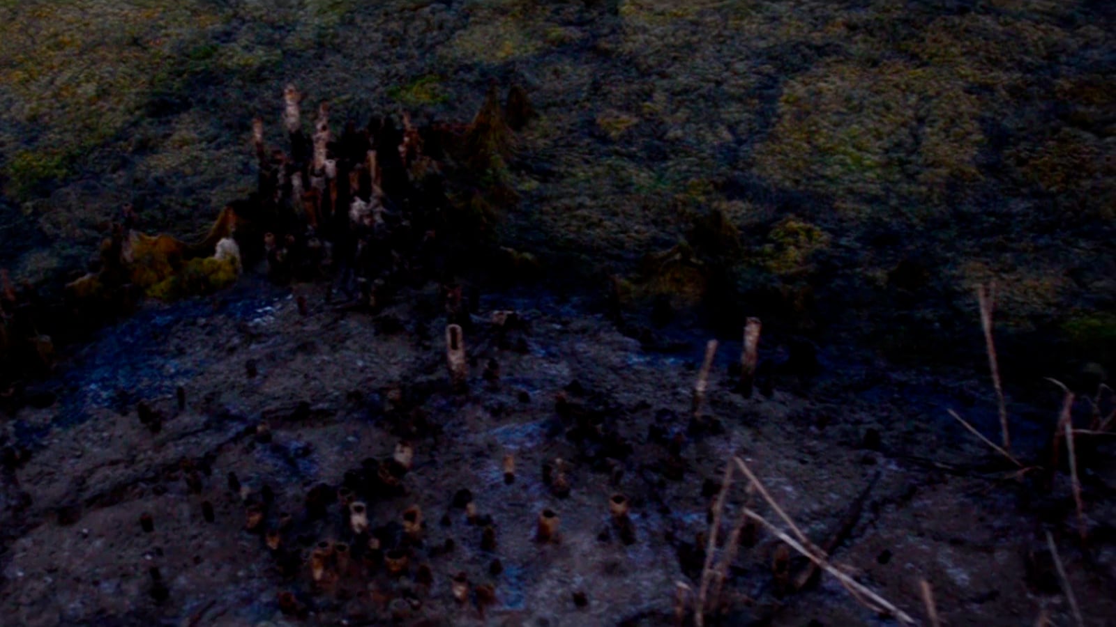 article image; primary-color: #16151D;