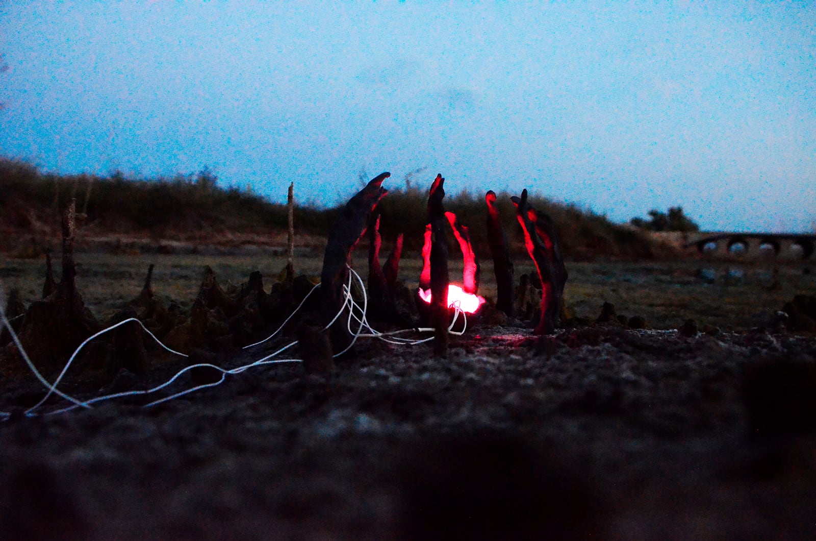 article image; primary-color: #405260;