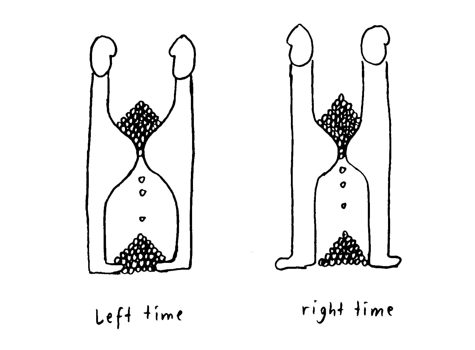 article image; primary-color: #F2F2F2;