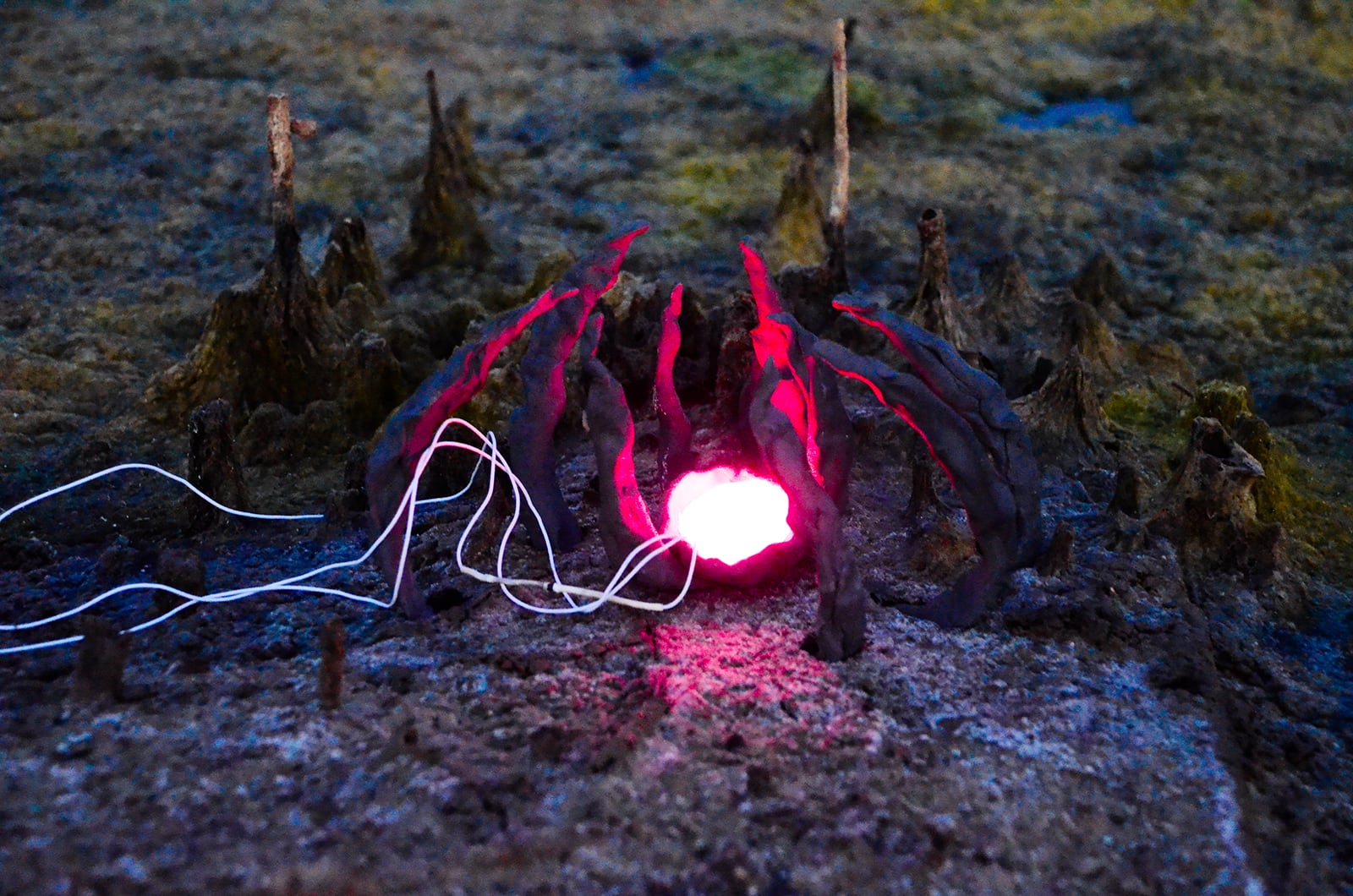 article image; primary-color: #3A3440;