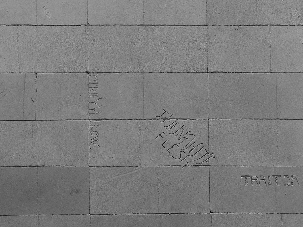 article image; primary-color: #7D7D7D;