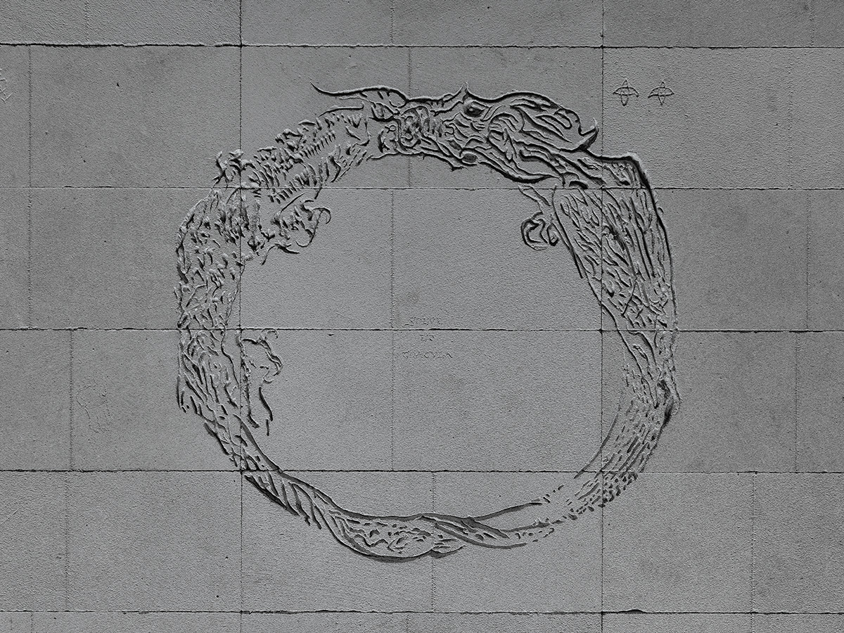 article image; primary-color: #808281;