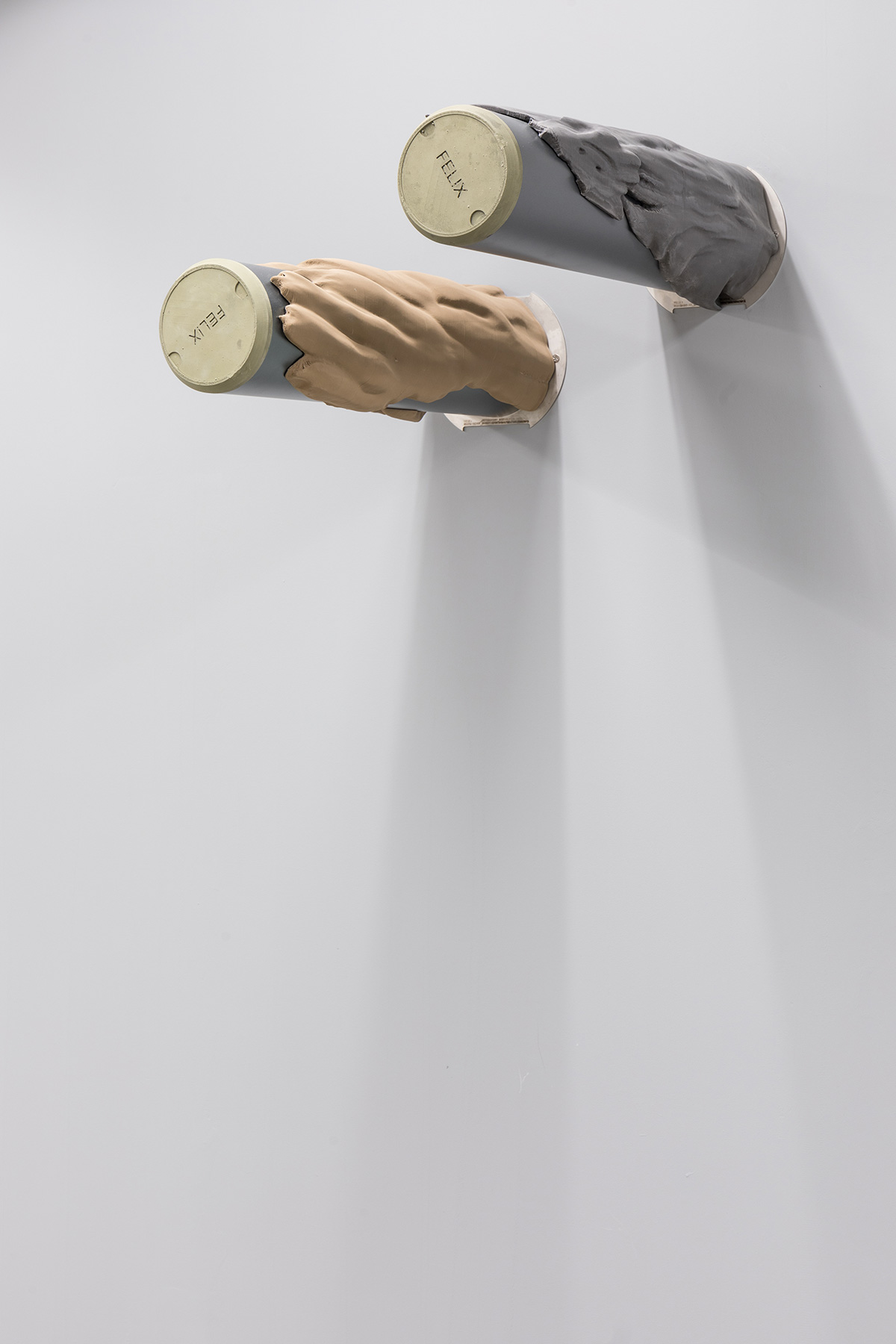 article image; primary-color: #C5C5C5;