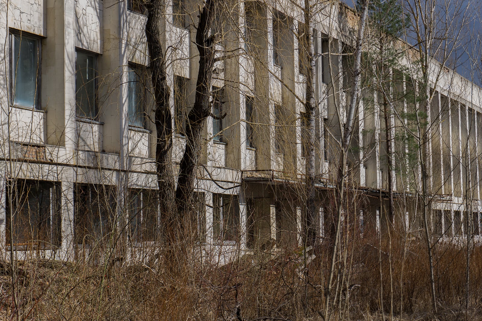 article image; primary-color: #5E5747;