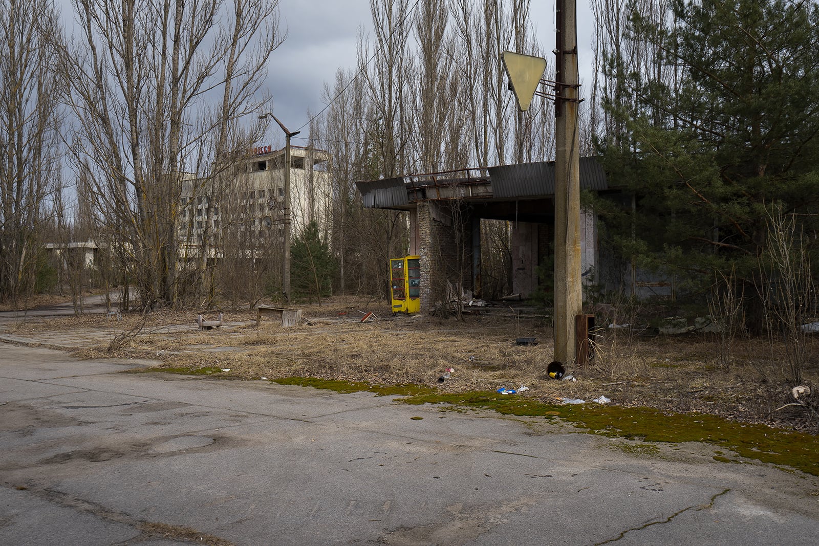 article image; primary-color: #625B55;