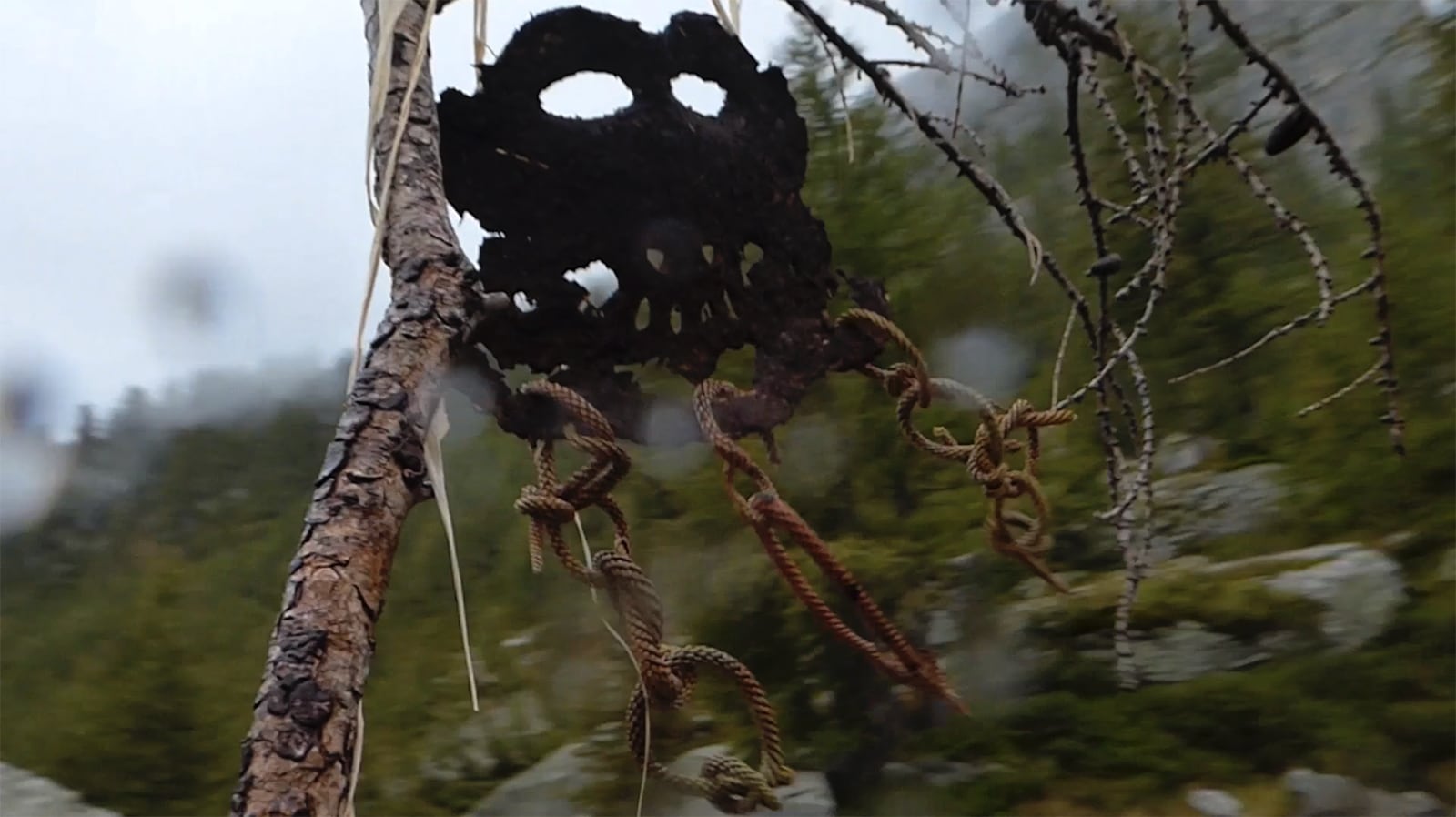 article image; primary-color: #555249;