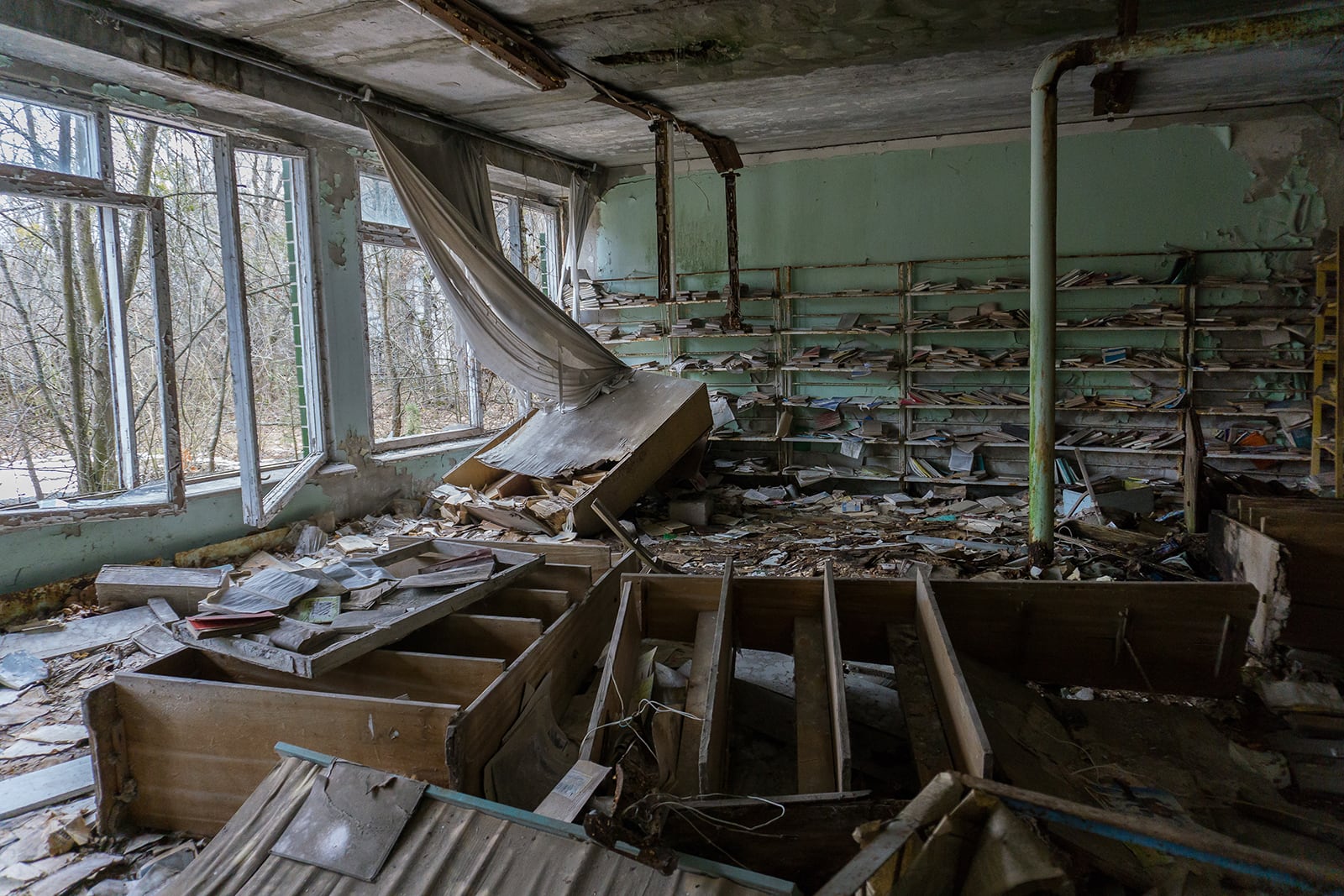 article image; primary-color: #4A4B43;