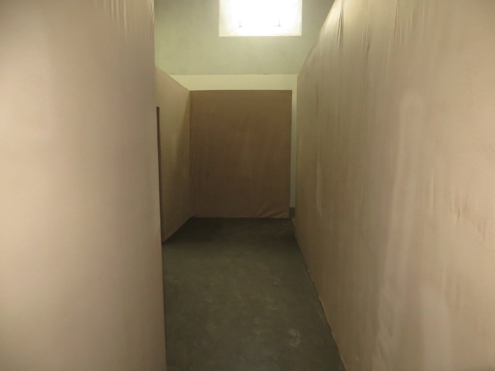 article image; primary-color: #908162;