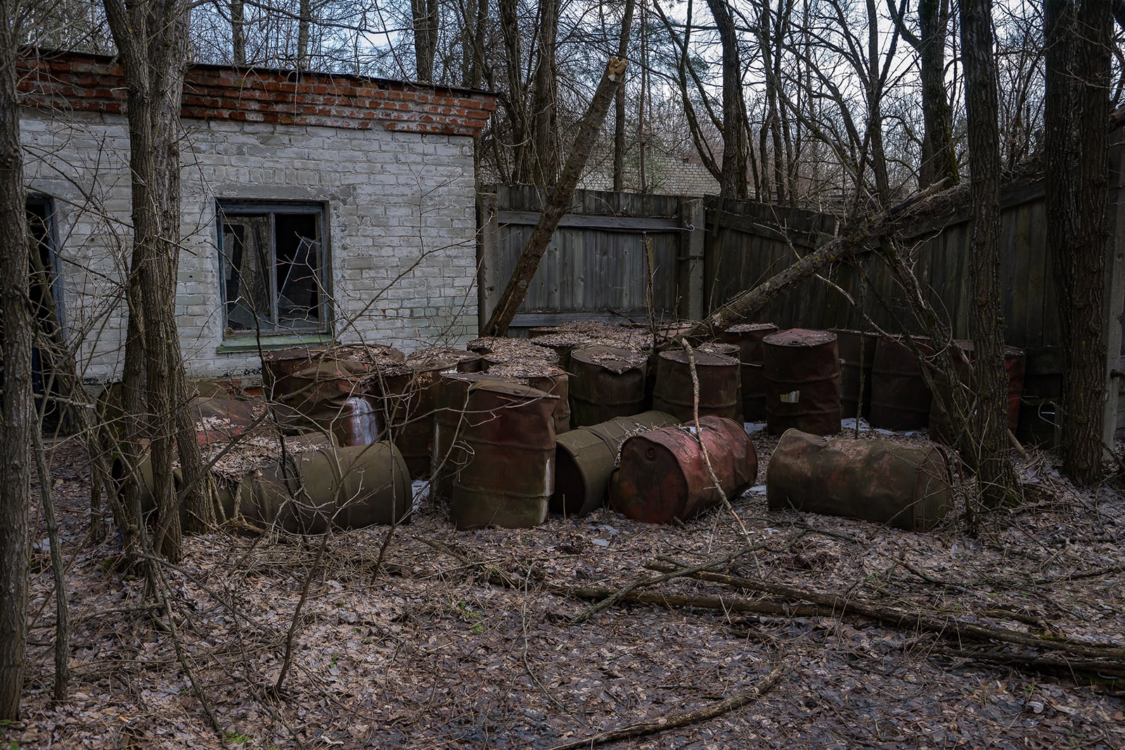 article image; primary-color: #423E3B;