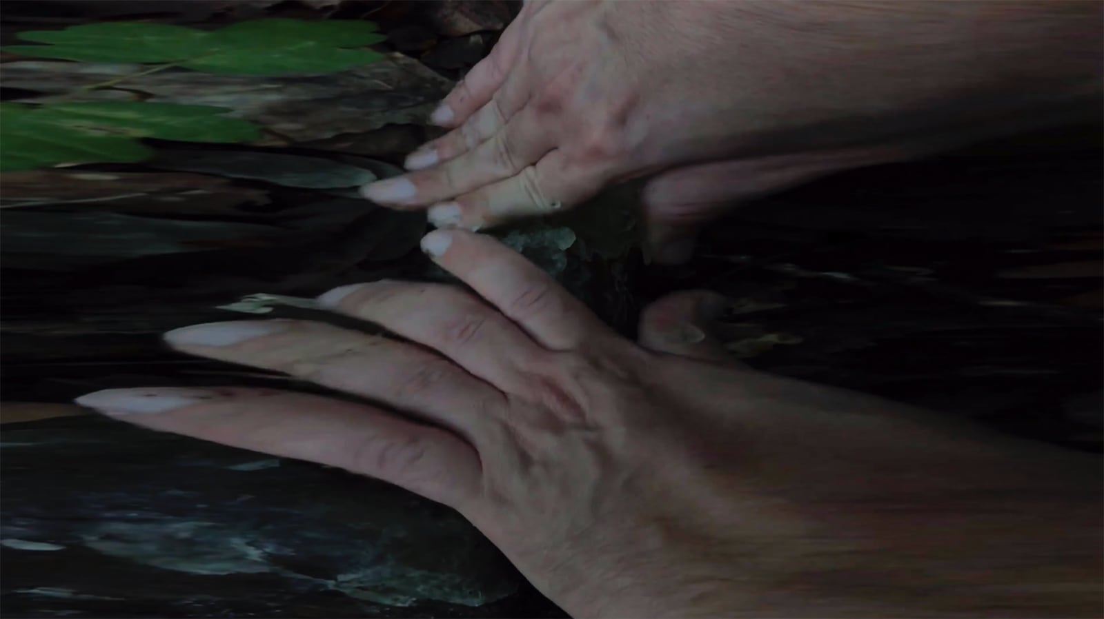 article image; primary-color: #2A2623;