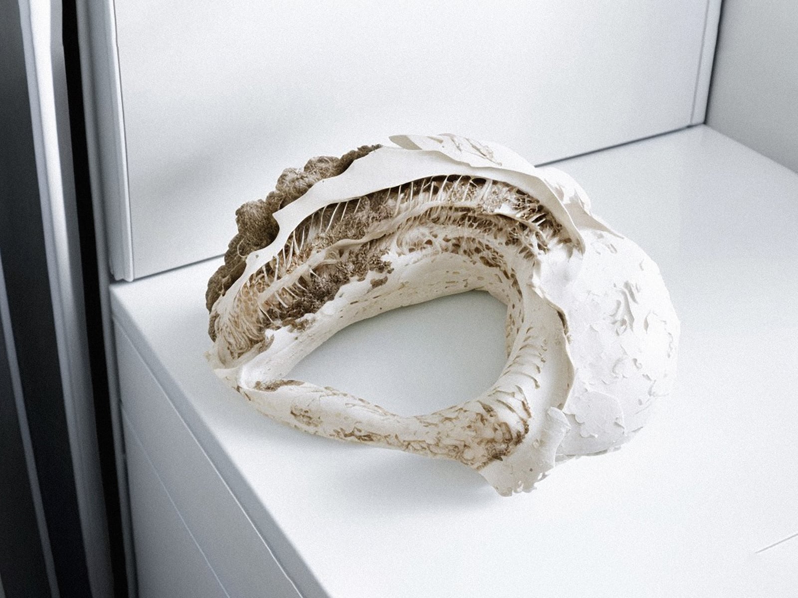 article image; primary-color: #B7B7B7;