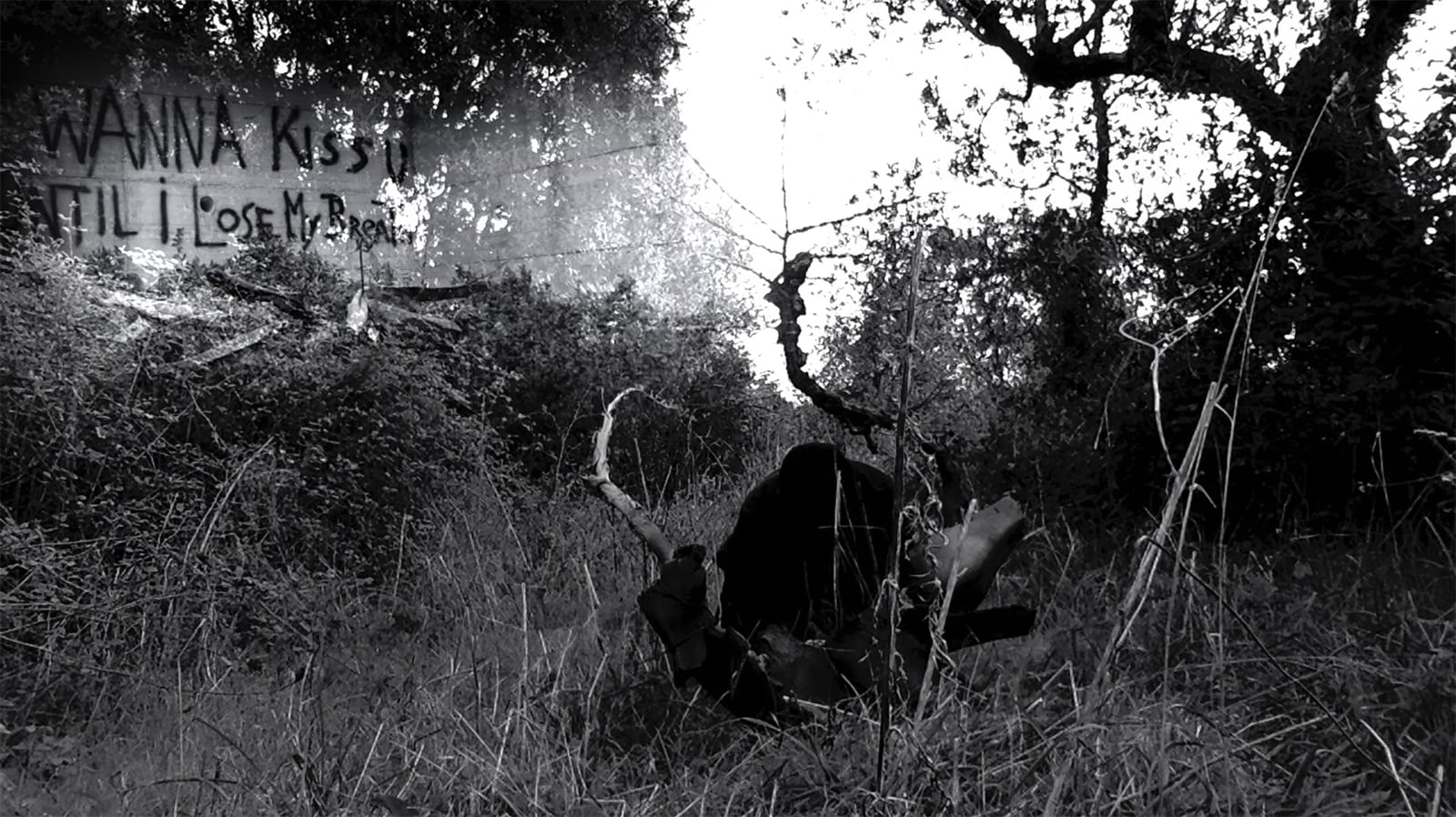 article image; primary-color: #4C4C4C;