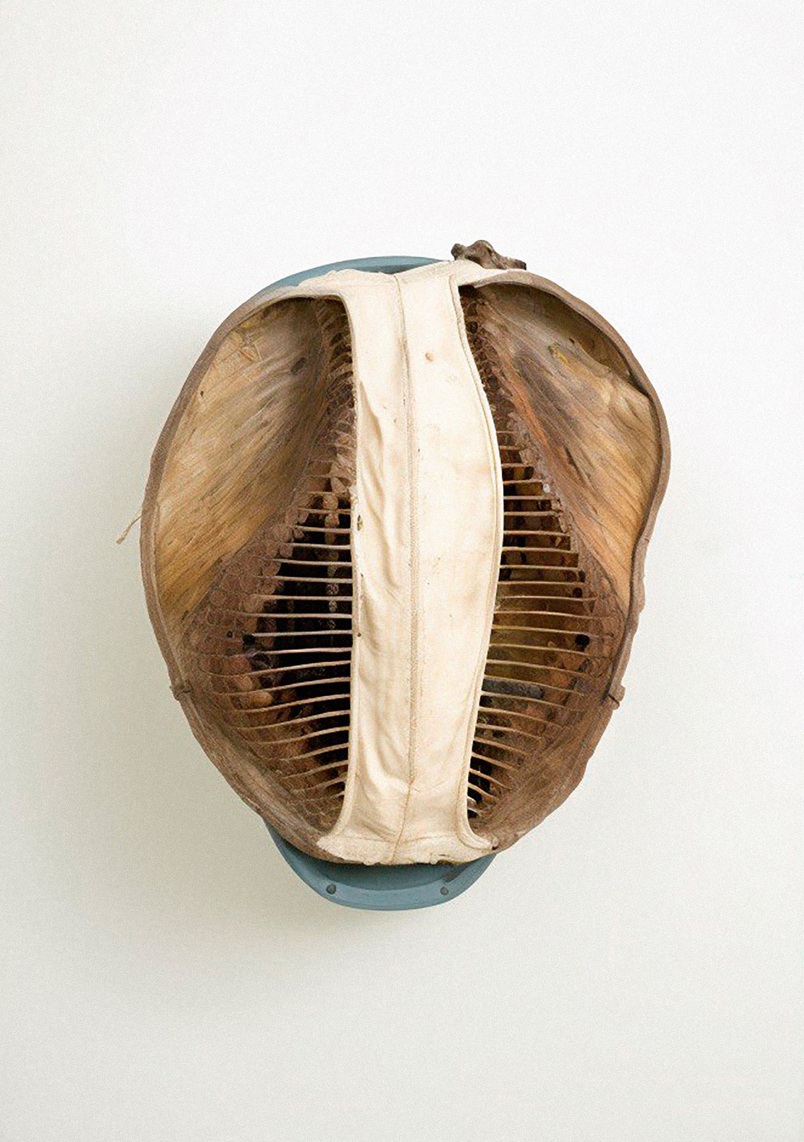 article image; primary-color: #D5CDC2;