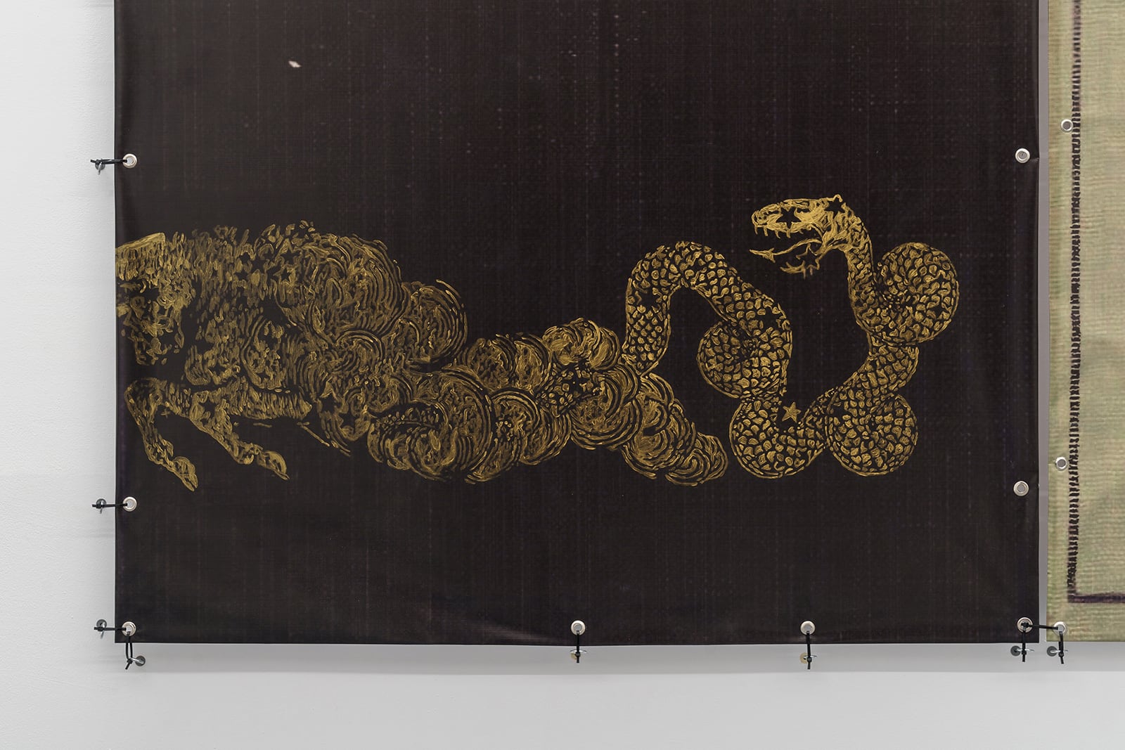 article image; primary-color: #5D5650;