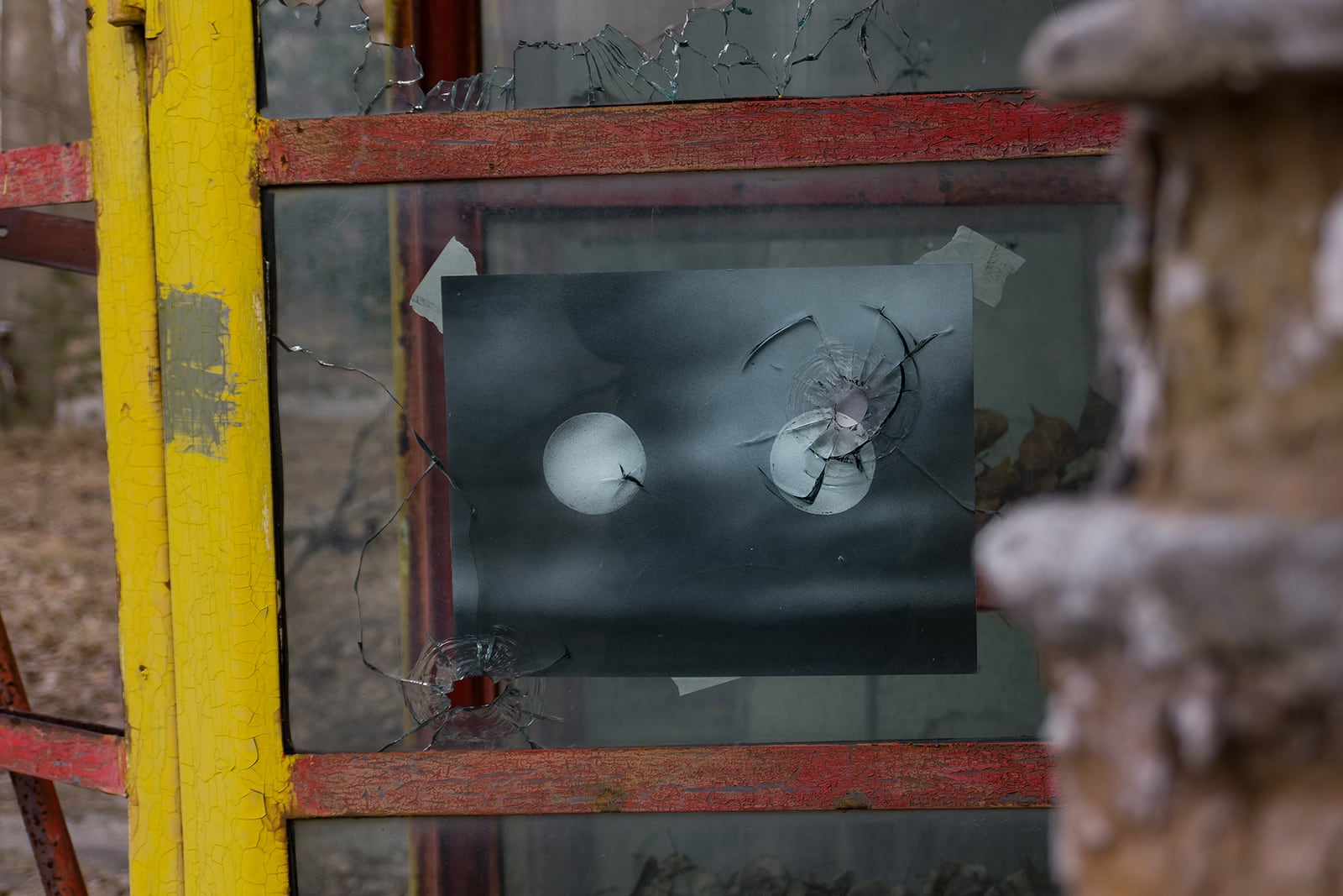 article image; primary-color: #5C5040;