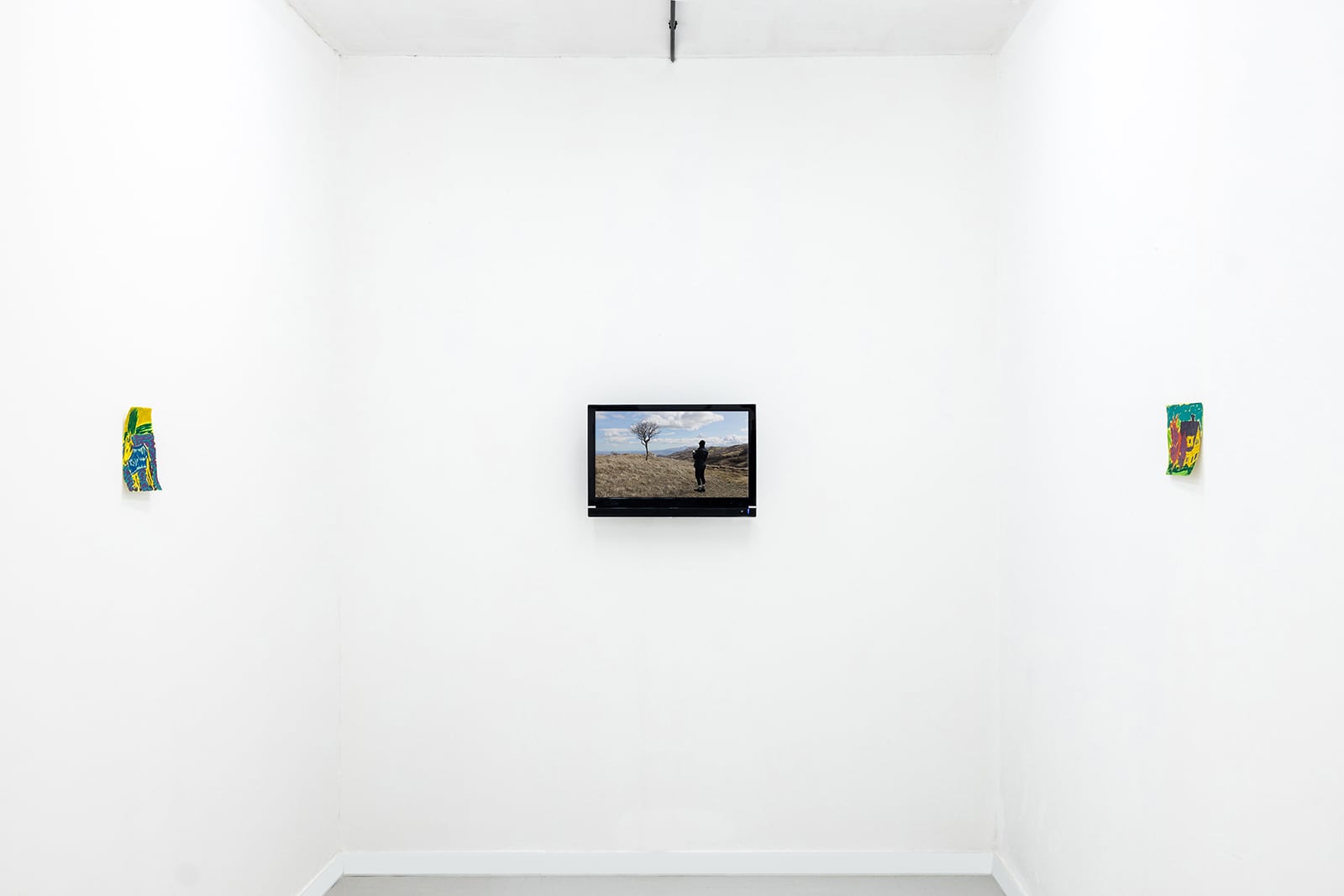 article image; primary-color: #EBEFEE;