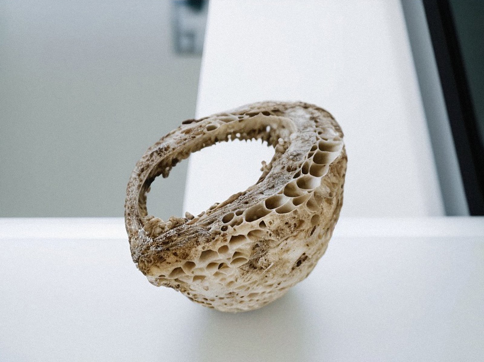 article image; primary-color: #B3B7B6;