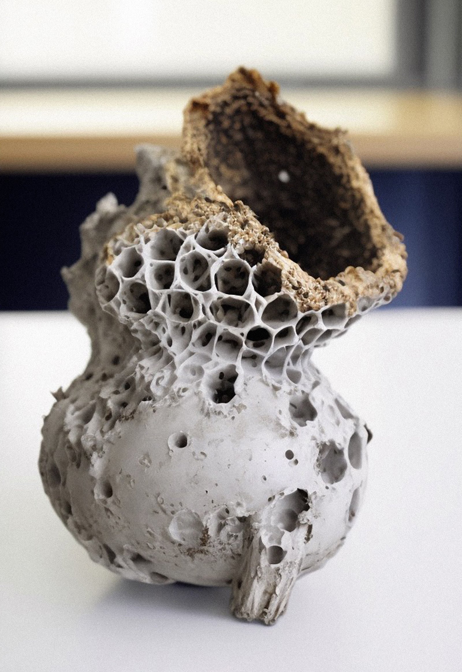 article image; primary-color: #A69F99;