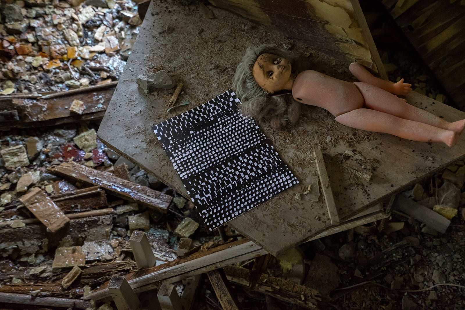 article image; primary-color: #3F362F;