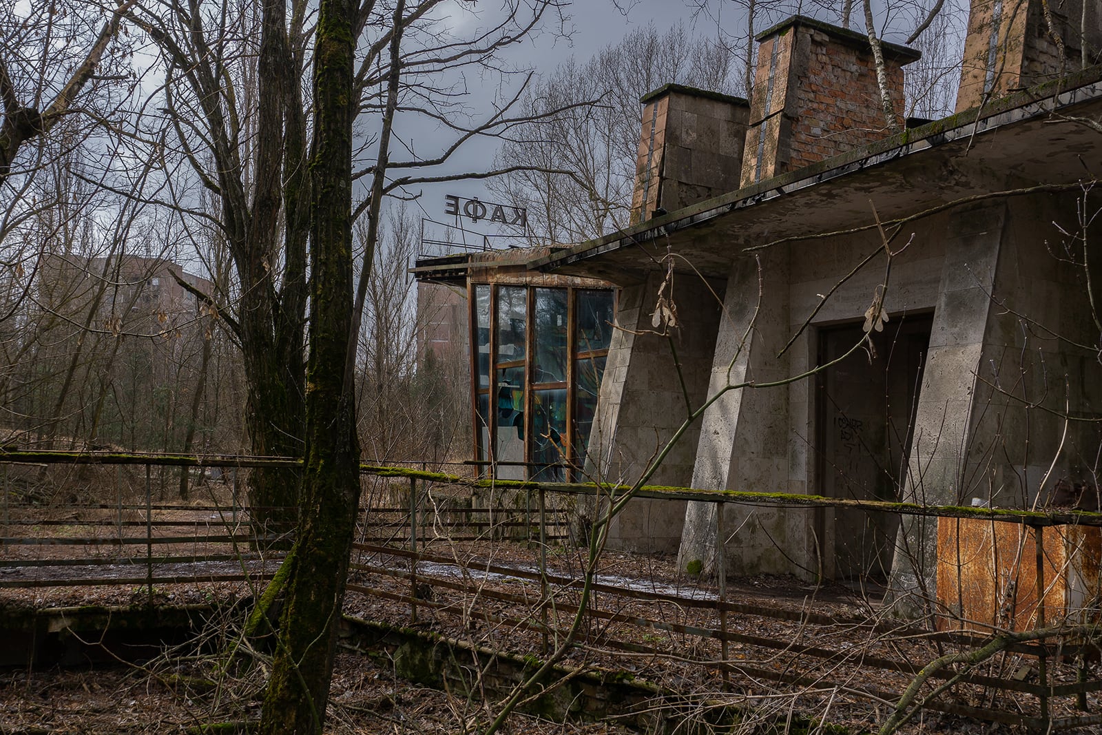 article image; primary-color: #47403A;