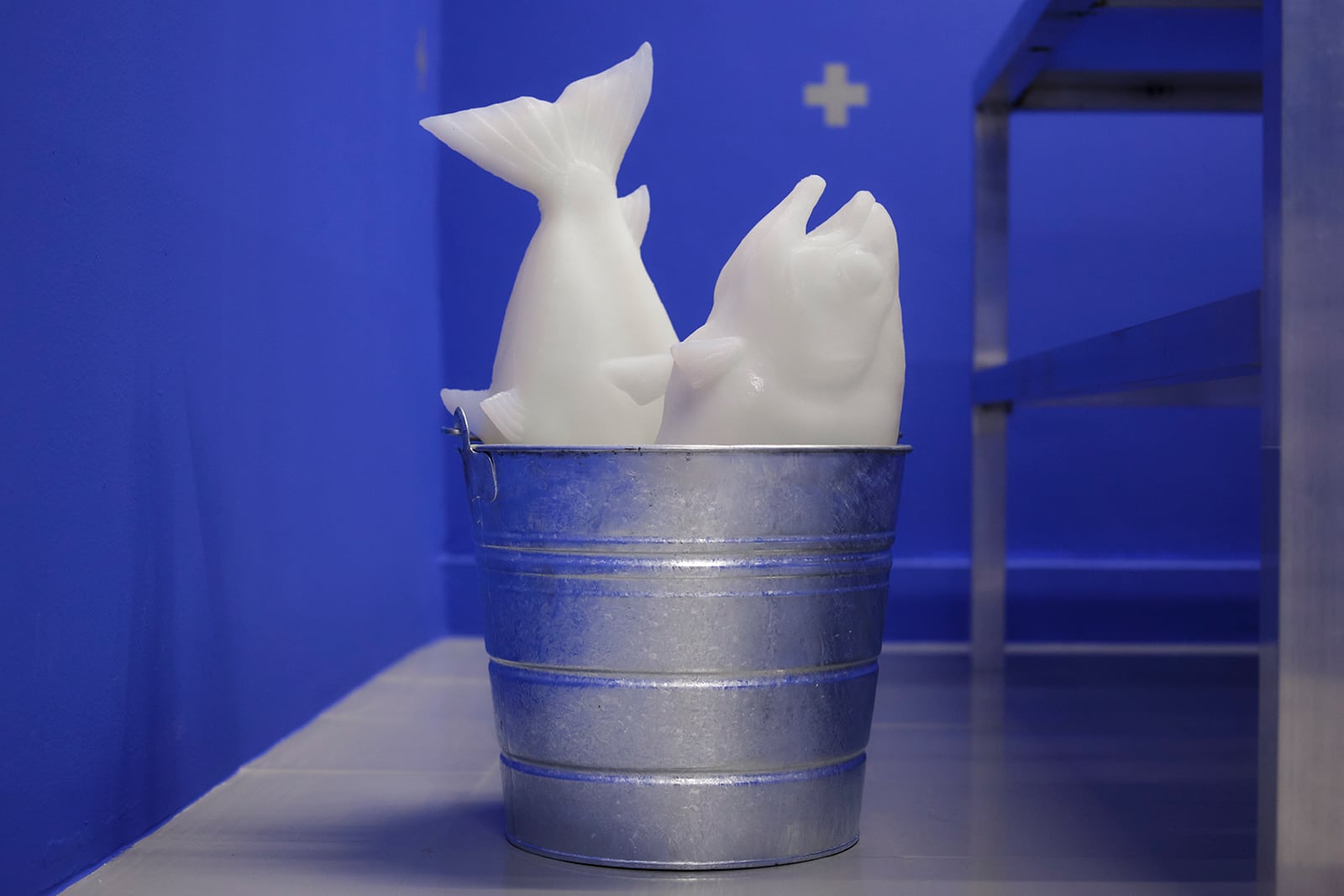 article image; primary-color: #454D8C;