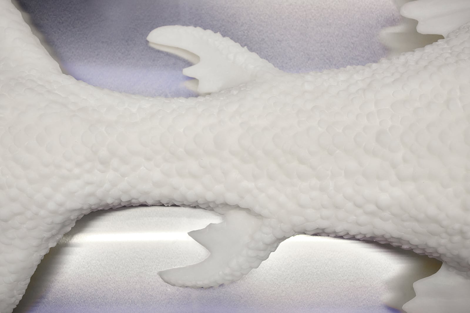 article image; primary-color: #C2BEBB;