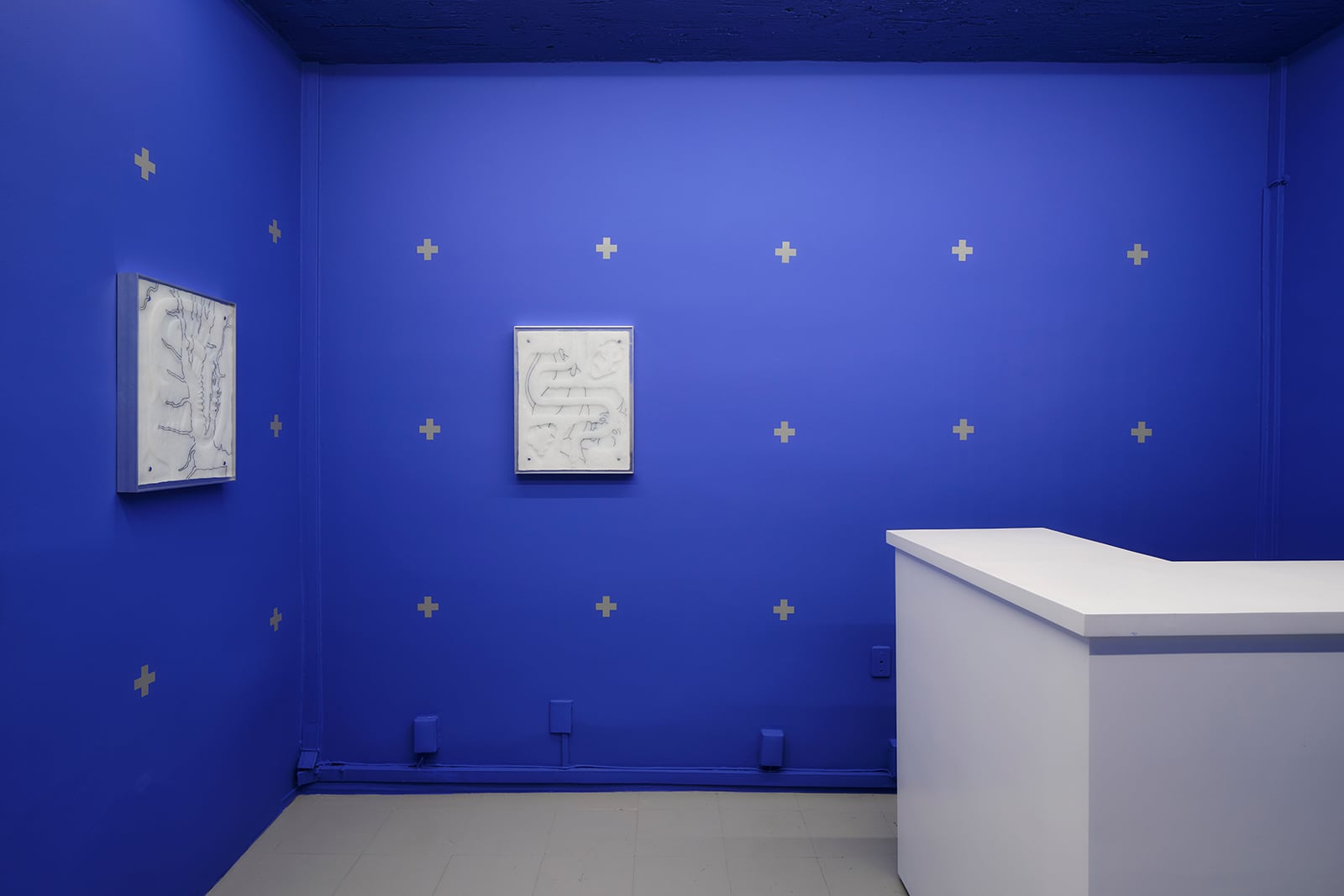 article image; primary-color: #434F9B;