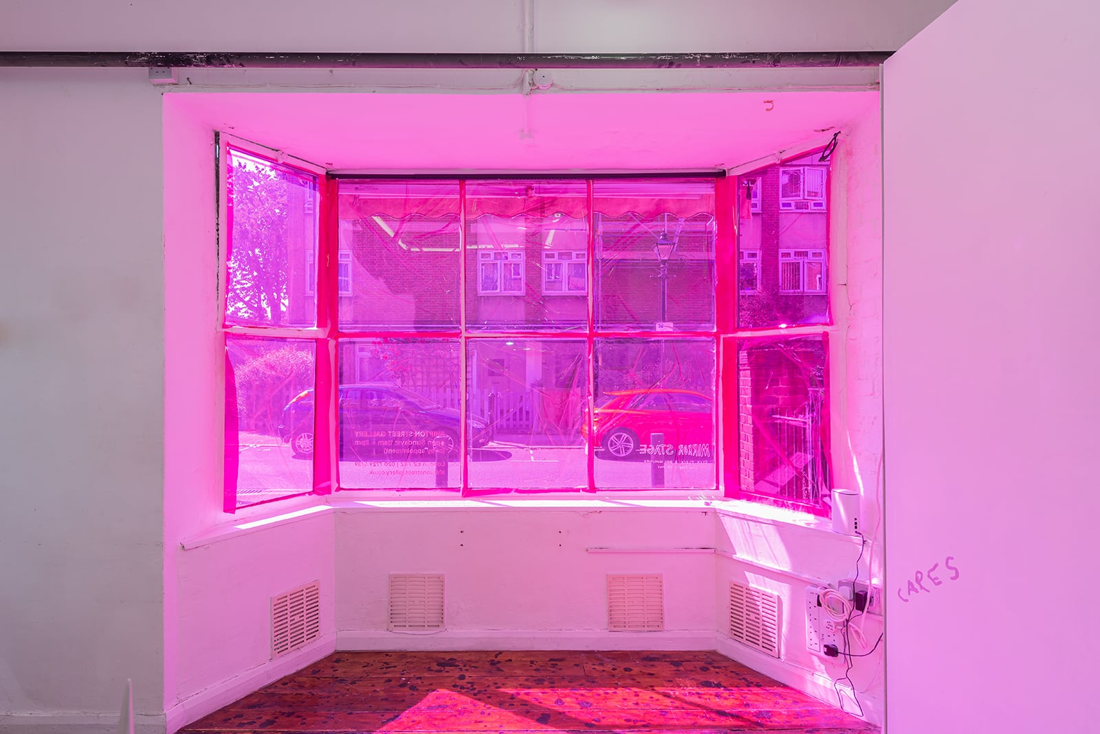 article image; primary-color: #CD72B7;