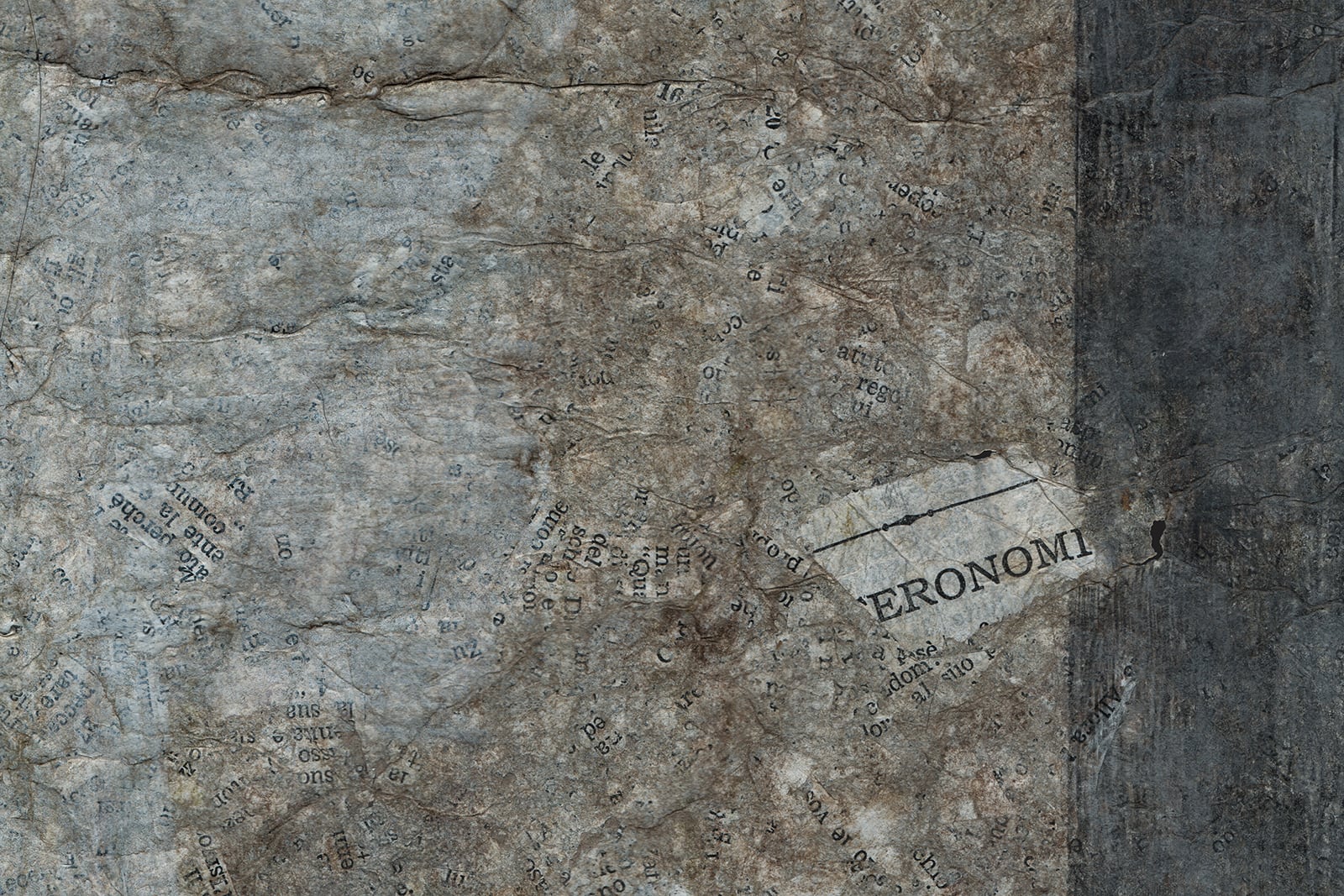 article image; primary-color: #70716C;