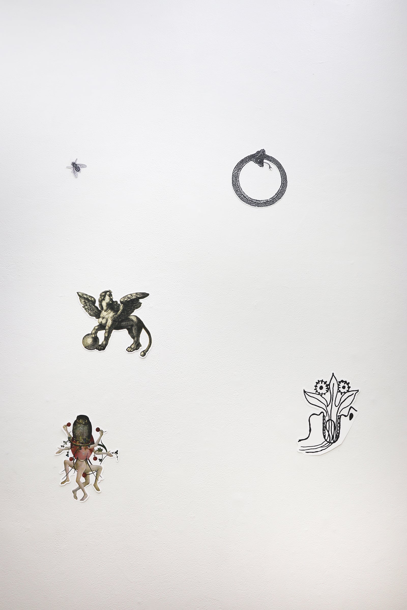 article image; primary-color: #E3E3E3;