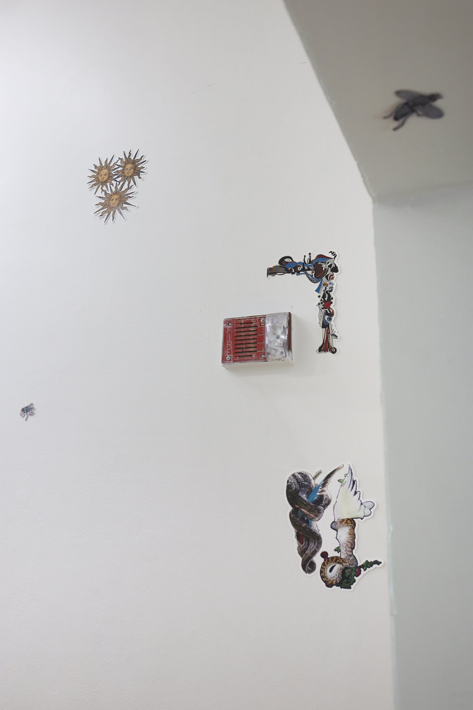 article image; primary-color: #C2BEBB;