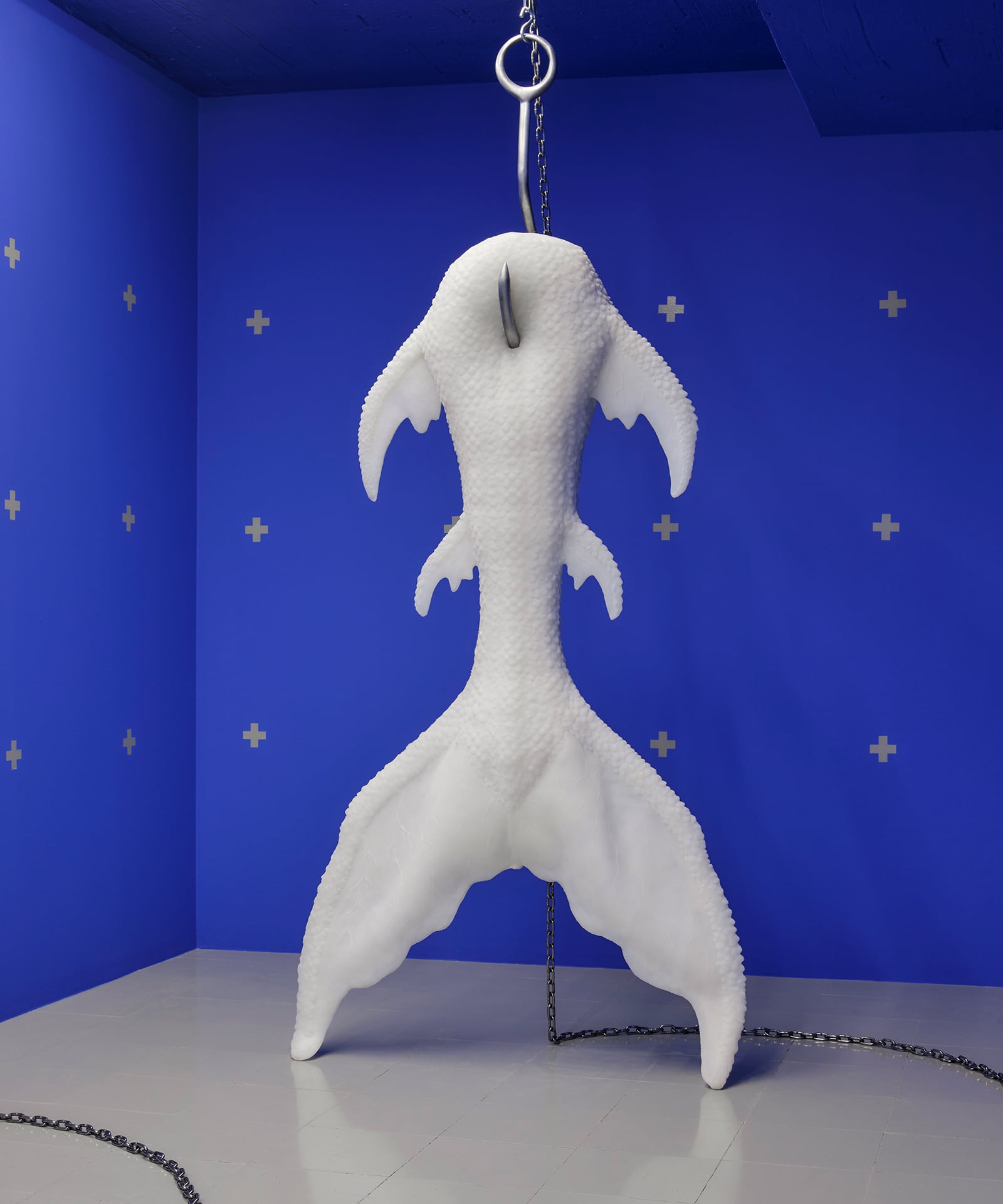 article image; primary-color: #485194;