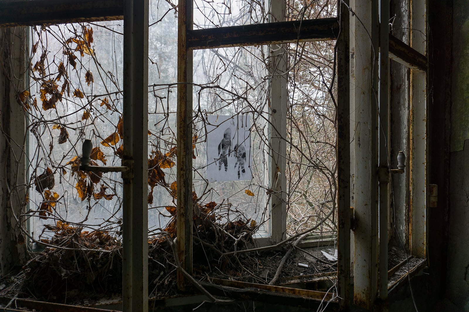 article image; primary-color: #49463F;