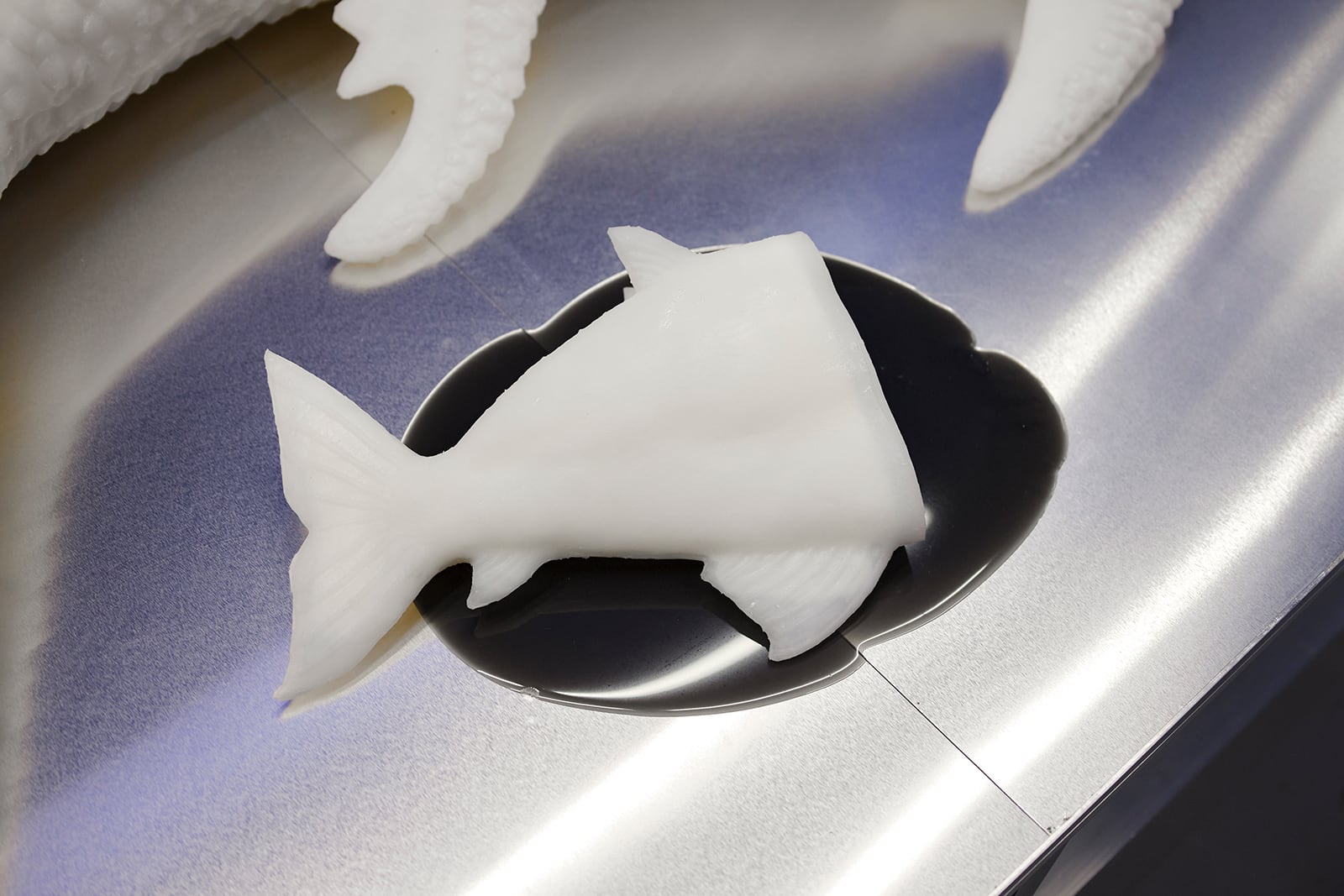 article image; primary-color: #979298;